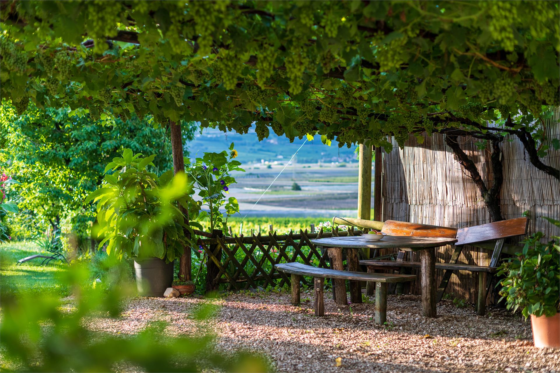Sandhof Tramin an der Weinstraße/Termeno sulla Strada del Vino 5 suedtirol.info