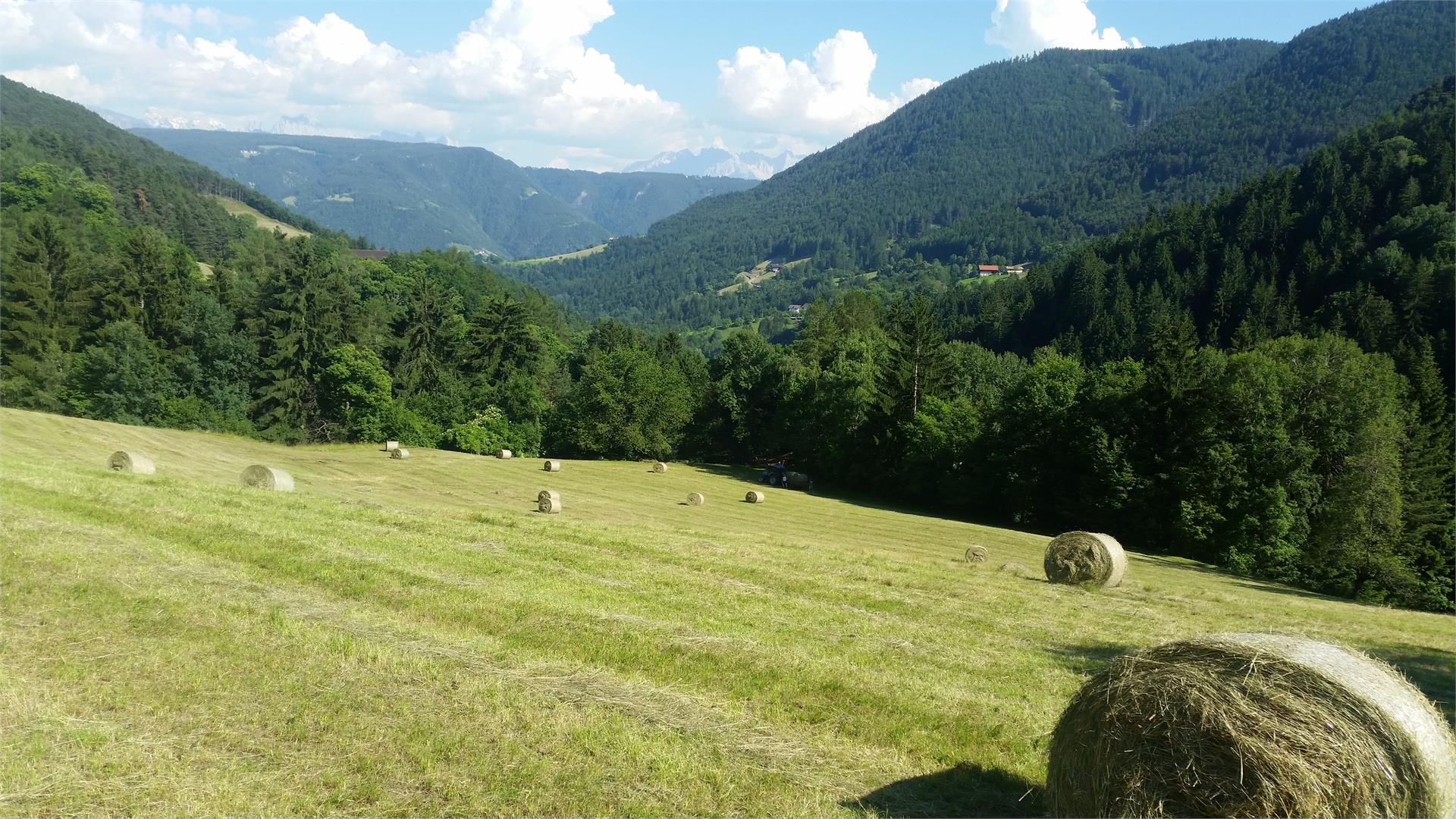 Schwarzenbach San Genesio Atesino 11 suedtirol.info