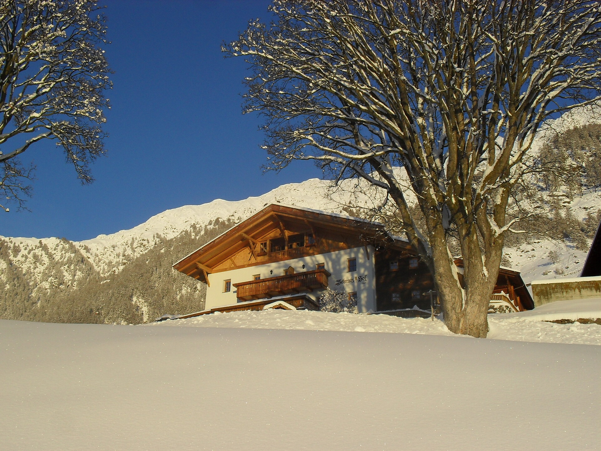 Winter