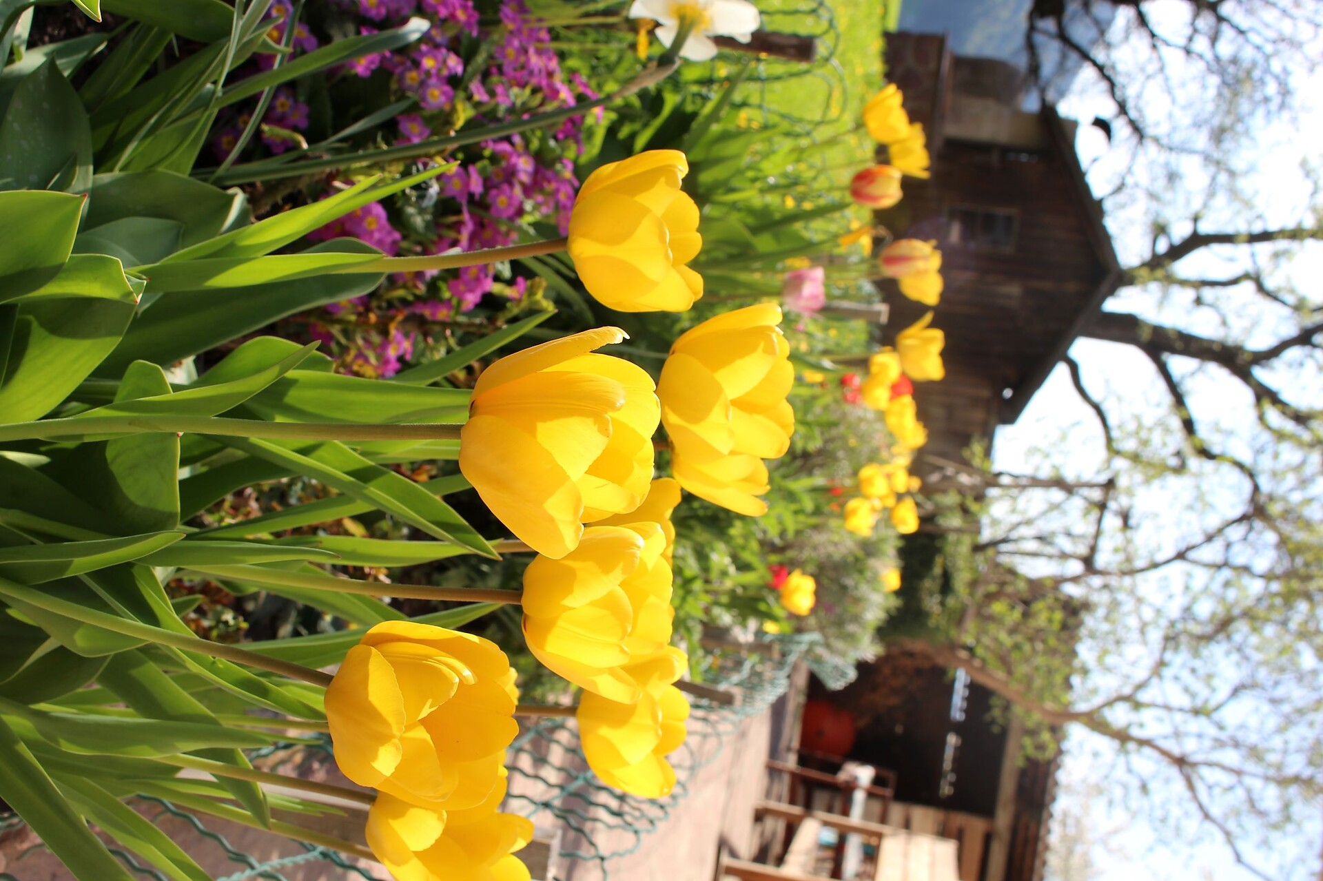 Primavera sul Stablerhof