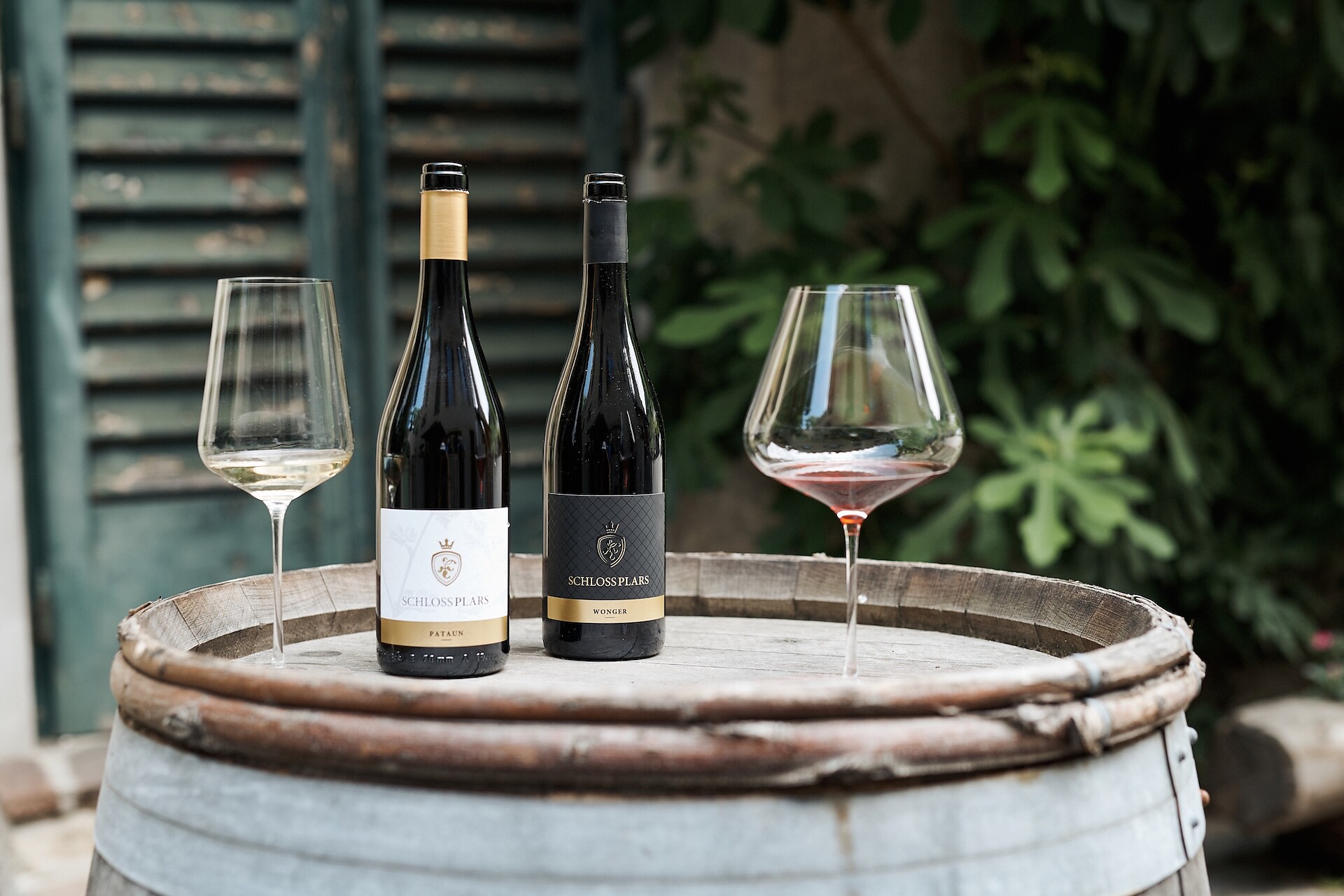 Wein