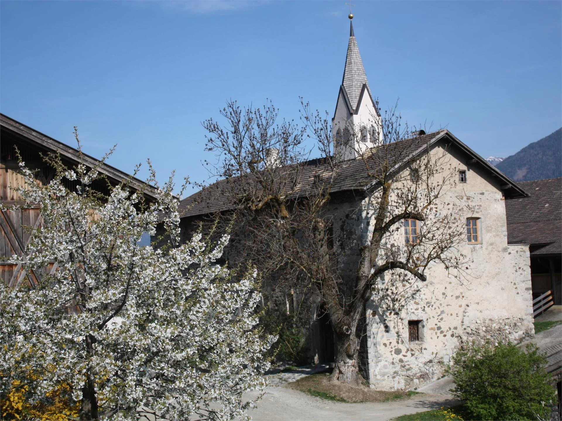 Castle Gravetsch Villanders/Villandro 1 suedtirol.info