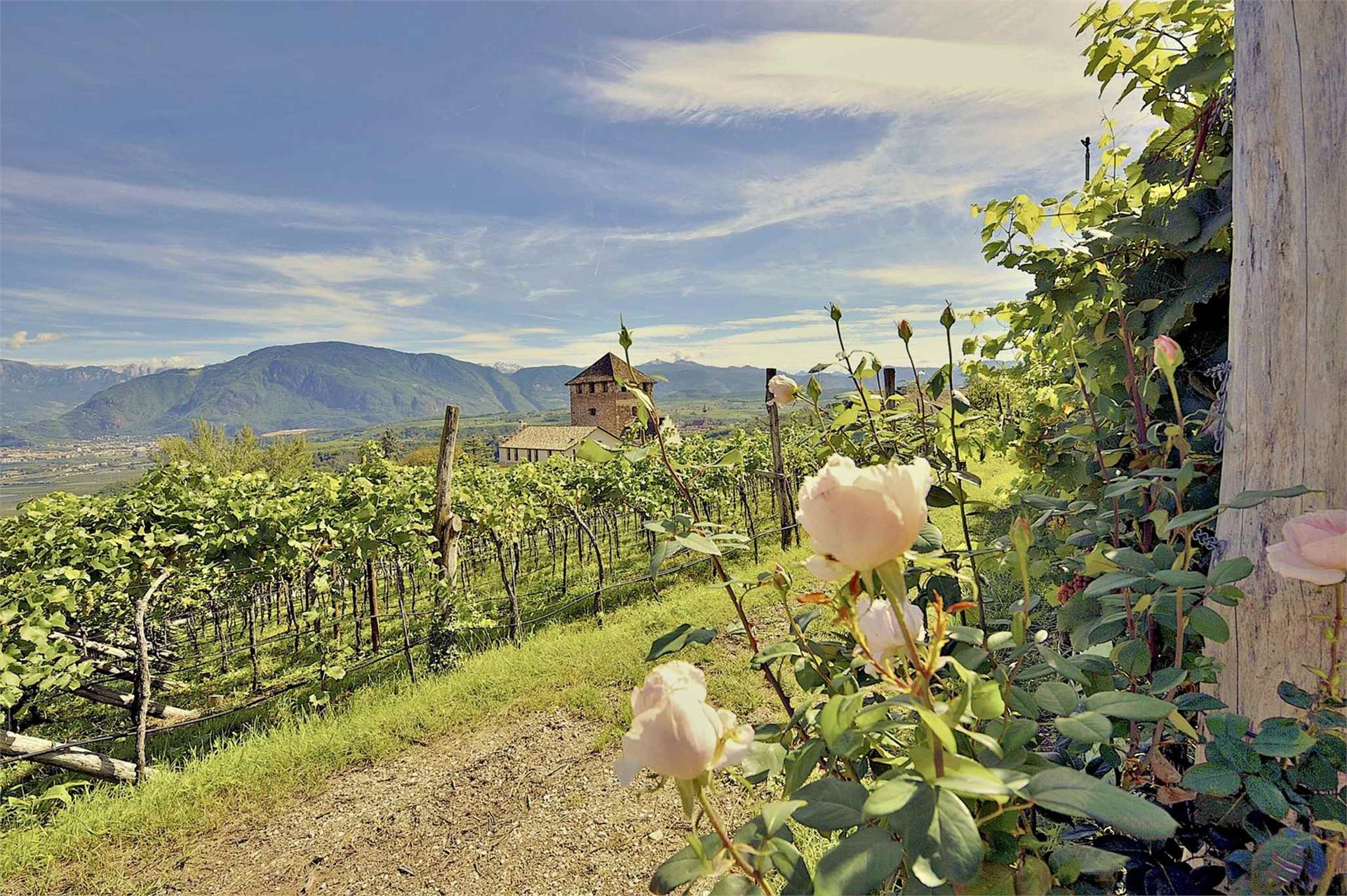 Schloss Hotel Korb Eppan an der Weinstaße/Appiano sulla Strada del Vino 12 suedtirol.info