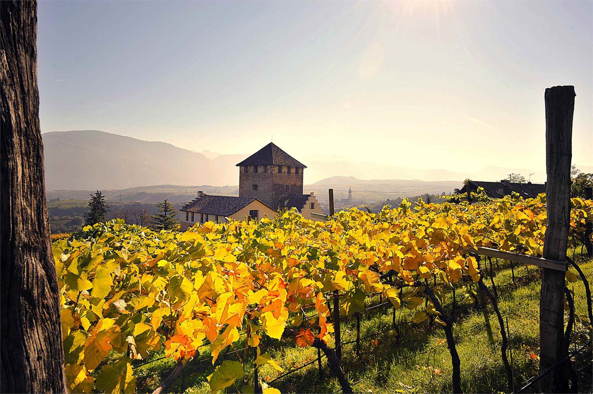 Schloss Hotel Korb Eppan an der Weinstaße/Appiano sulla Strada del Vino 17 suedtirol.info