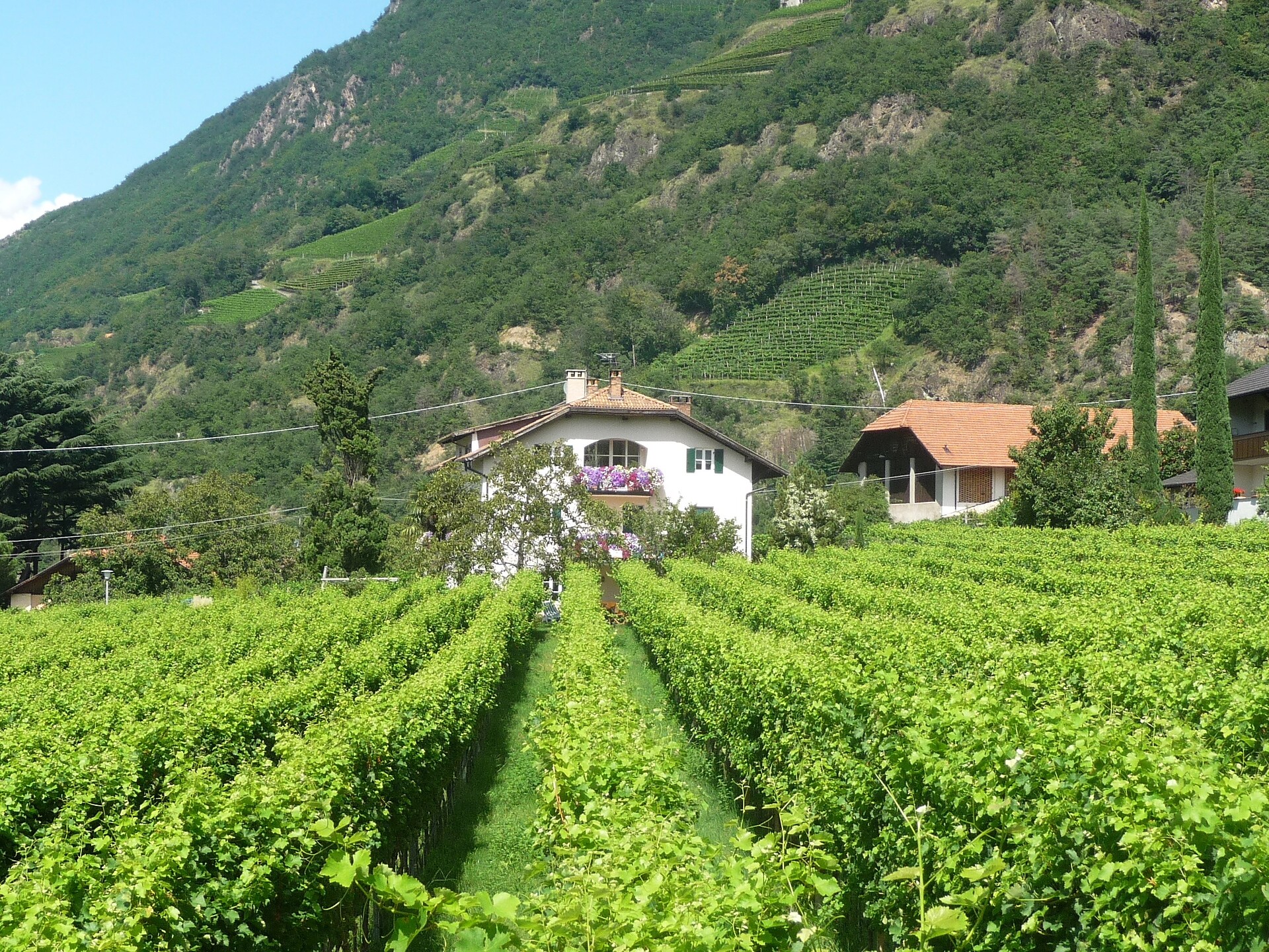 L’agriturismo, dedicatosi alla frutti