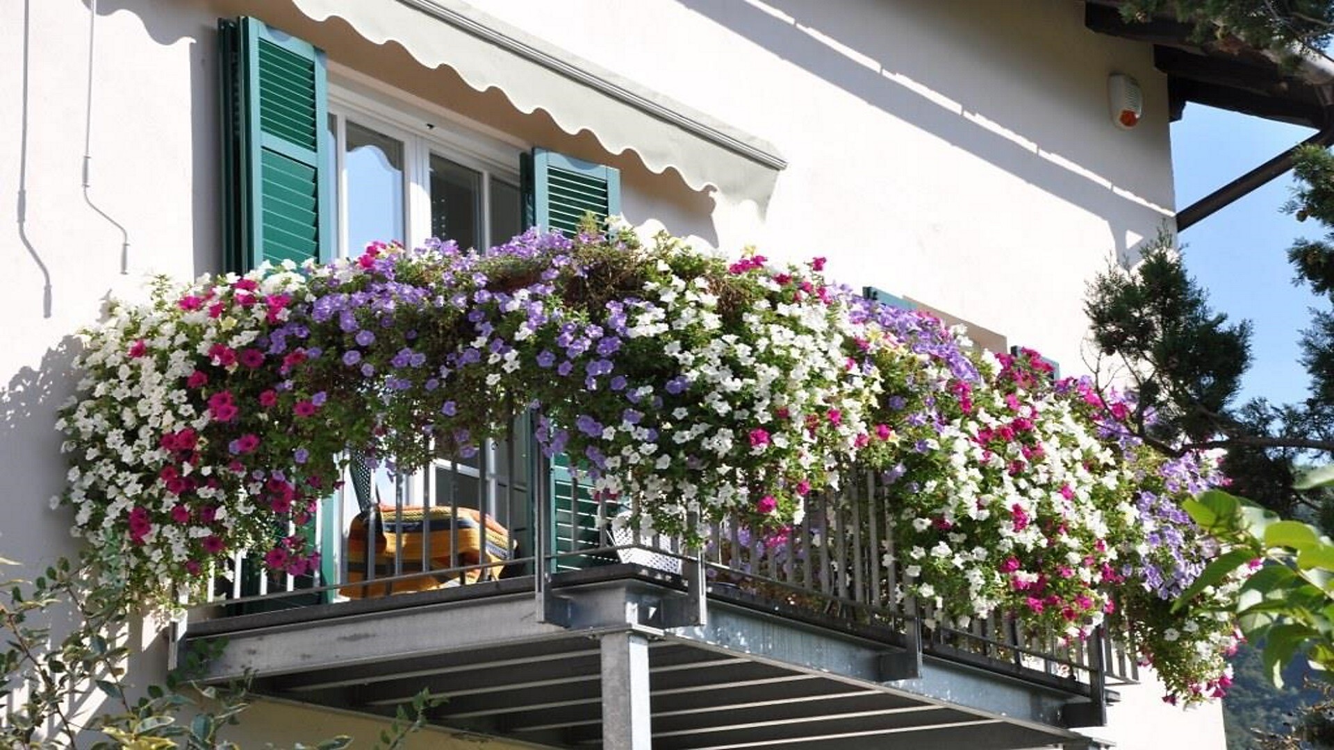 Balcone