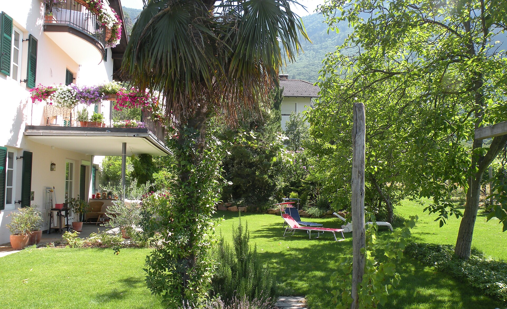 Appartamento a sud al primo piano con terrazza