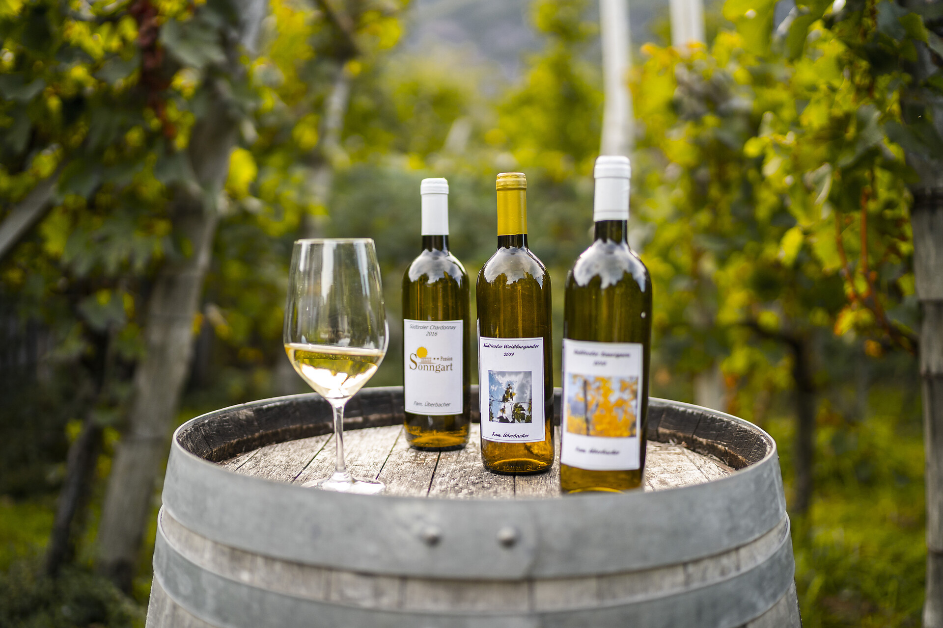 Wine