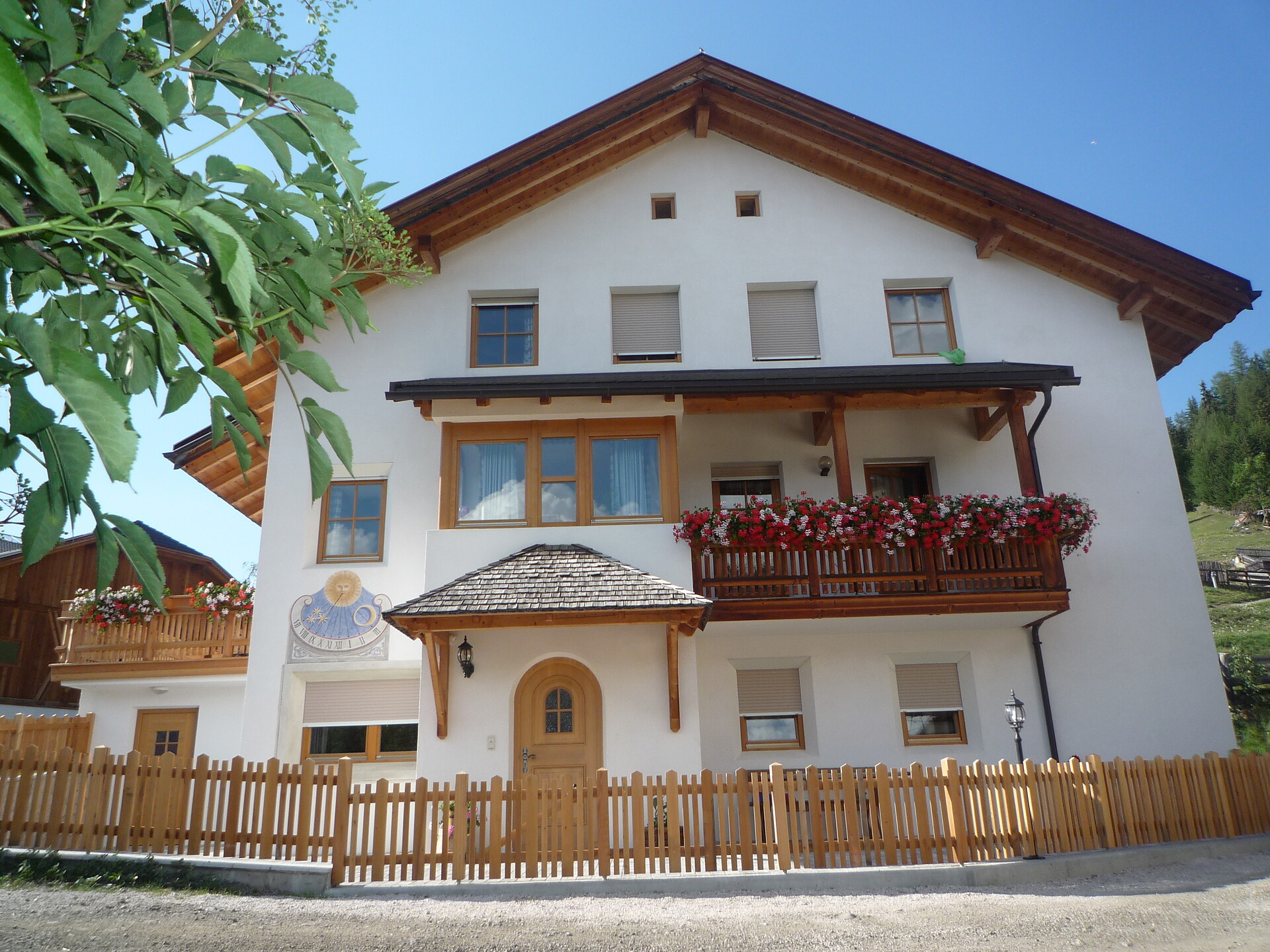 Sumaela