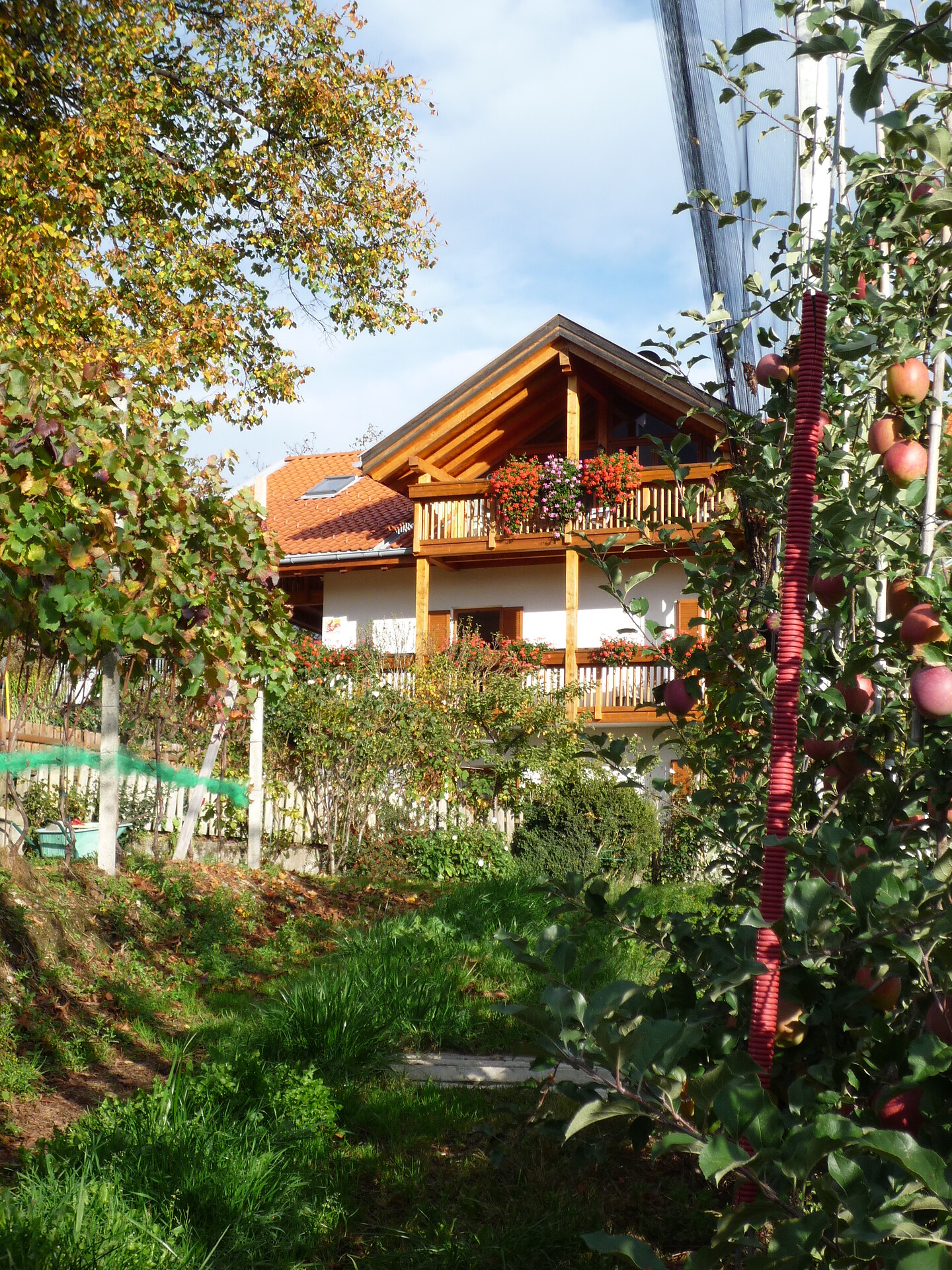 Stettnerhof