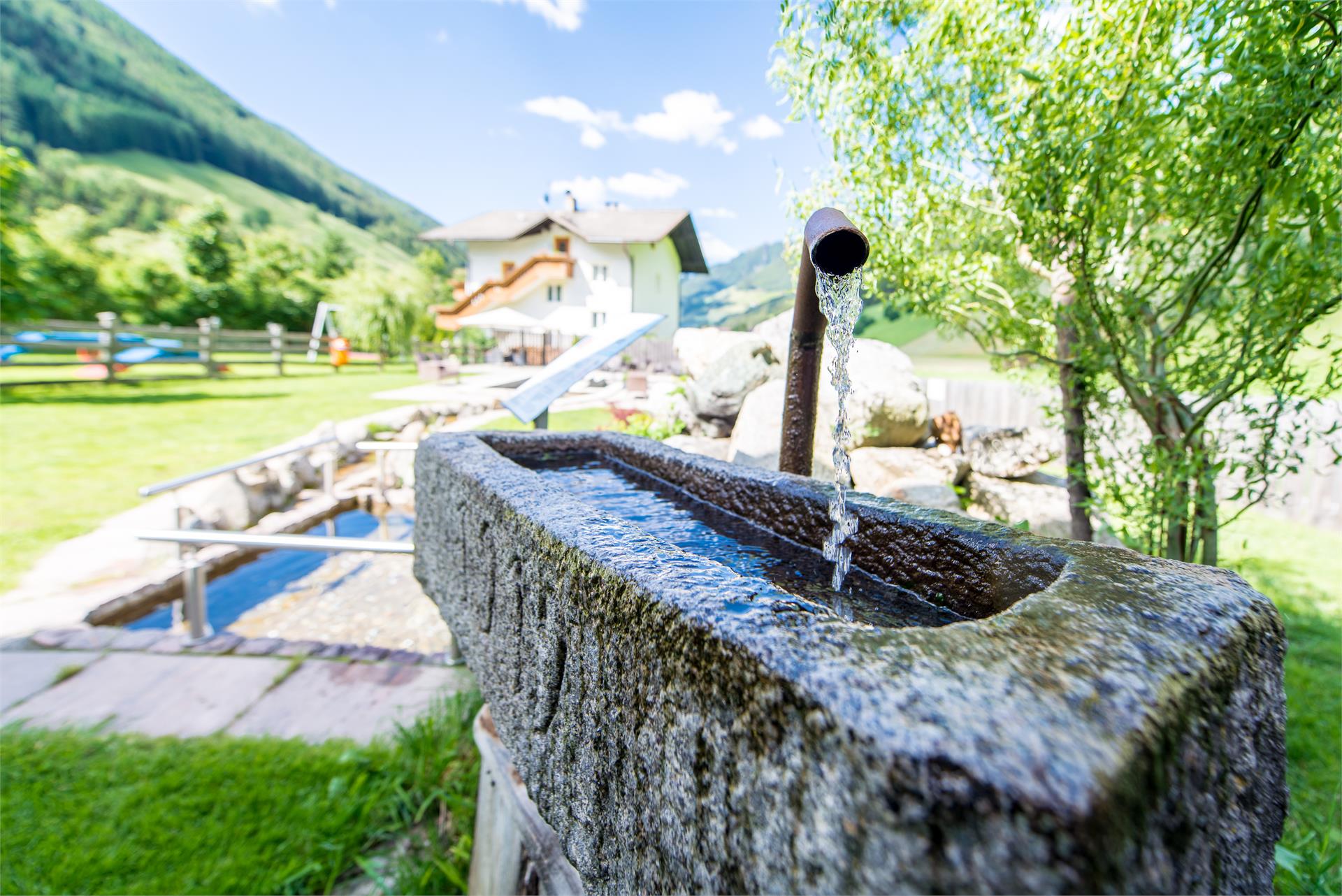 Sonja Hotel Valle Aurina 9 suedtirol.info