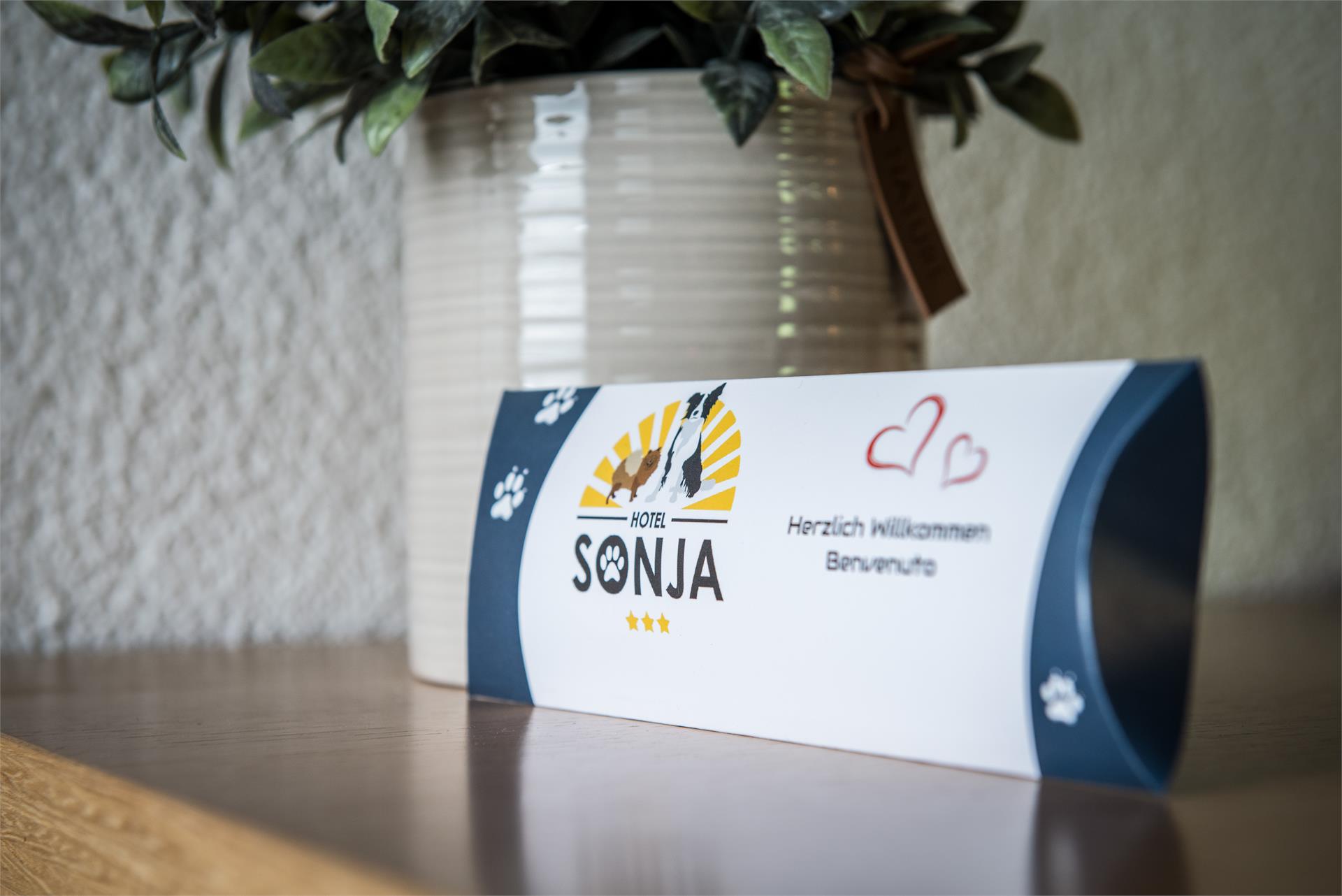 Sonja Hotel Valle Aurina 24 suedtirol.info