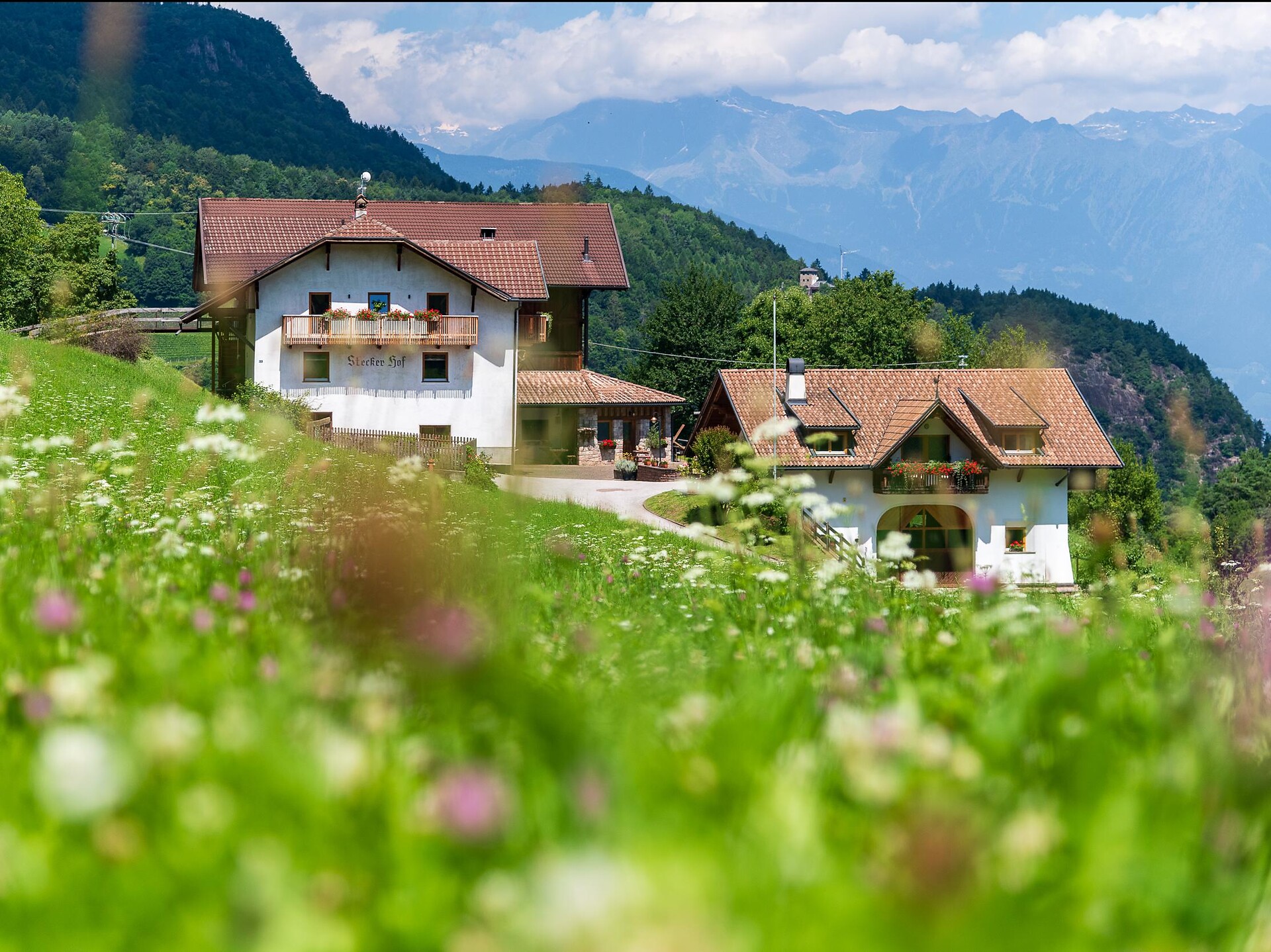 Steckerhof