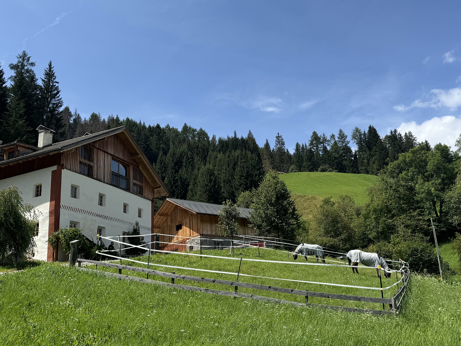 I nostri cavalli a casa