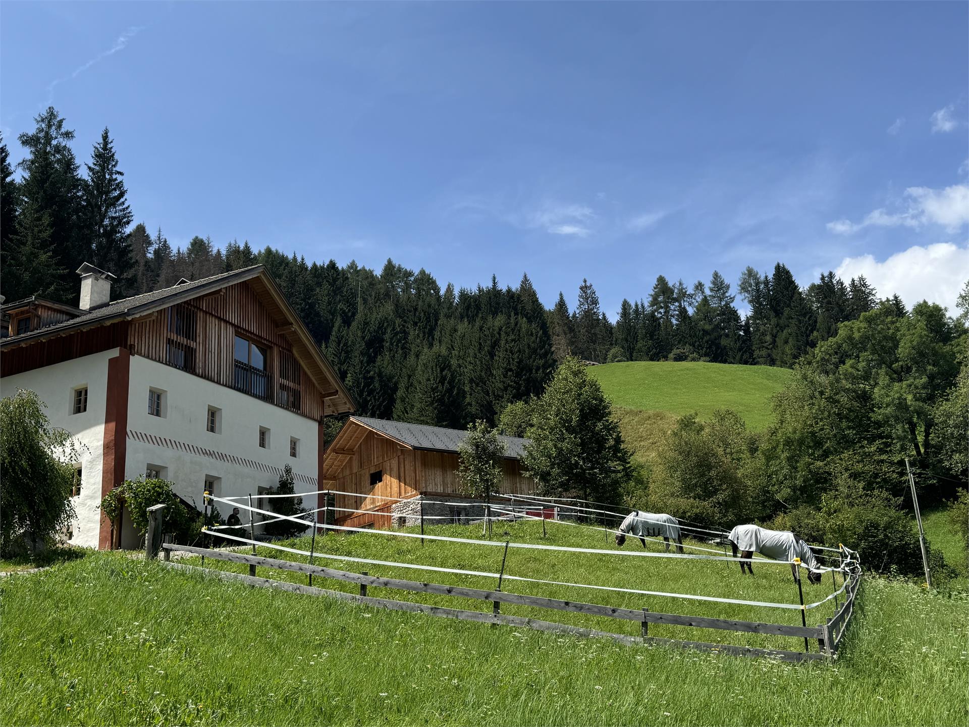 Silentium Dolomites Chalet Monguelfo-Tesido 3 suedtirol.info
