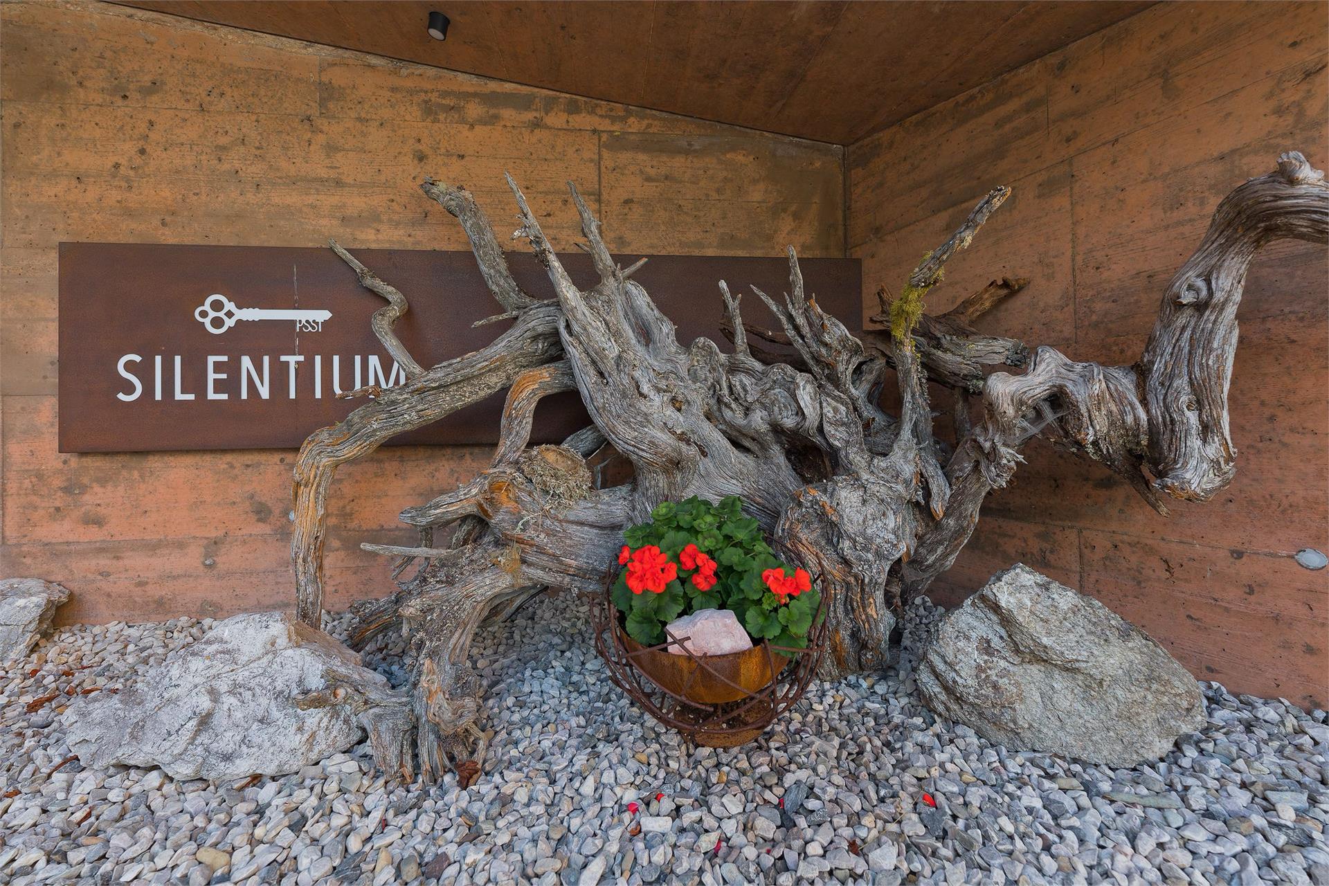 Silentium Dolomites Chalet Monguelfo-Tesido 6 suedtirol.info
