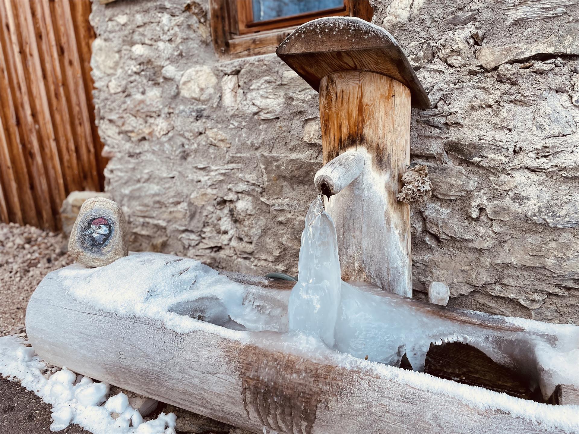 Silentium Dolomites Chalet Monguelfo-Tesido 15 suedtirol.info