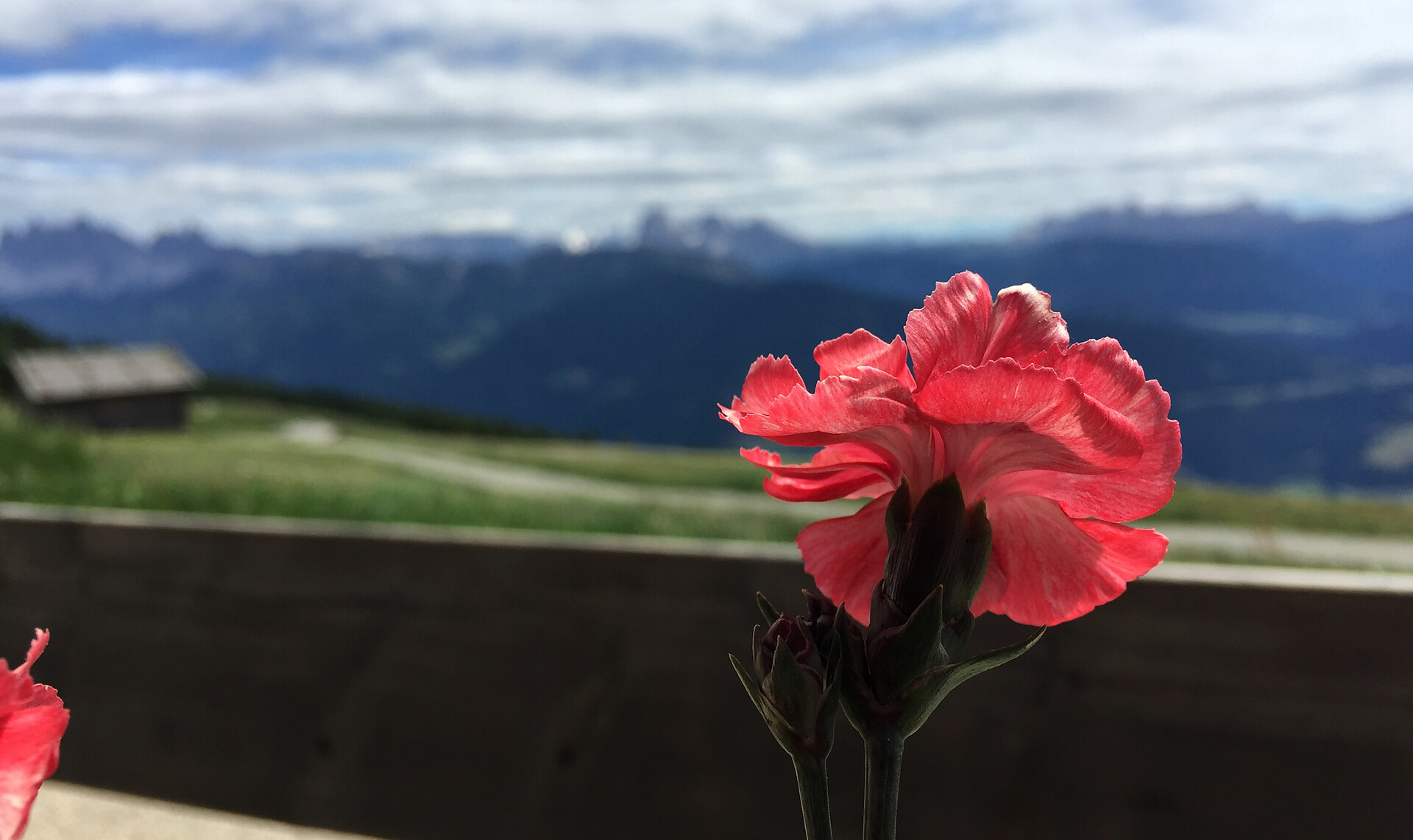 Schererhof - Dolomitenregion Seiser Alm - #24 - suedtirol.info