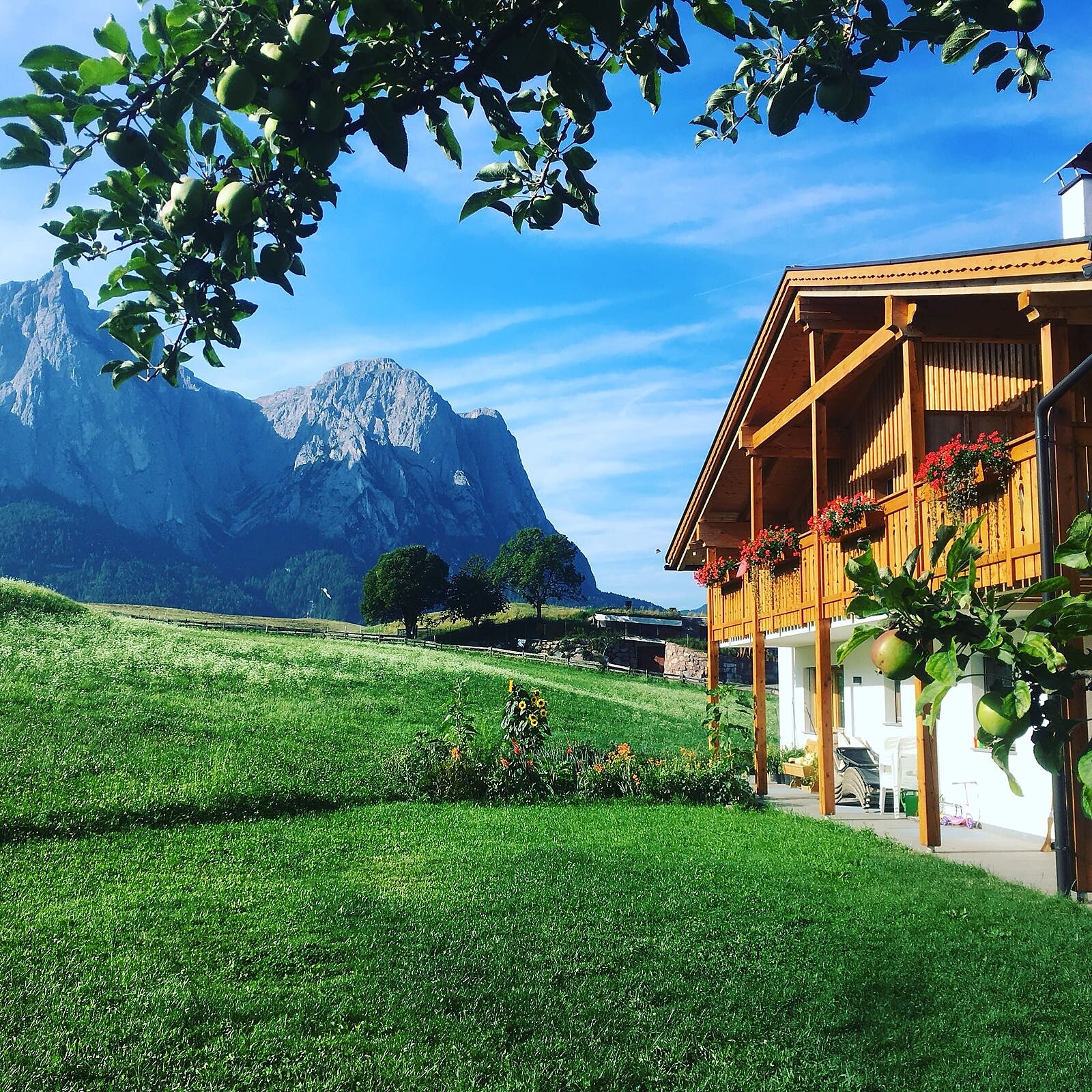 Maso Scherer - Regione dolomitica Alpe di Siusi - #1 - suedtirol.info