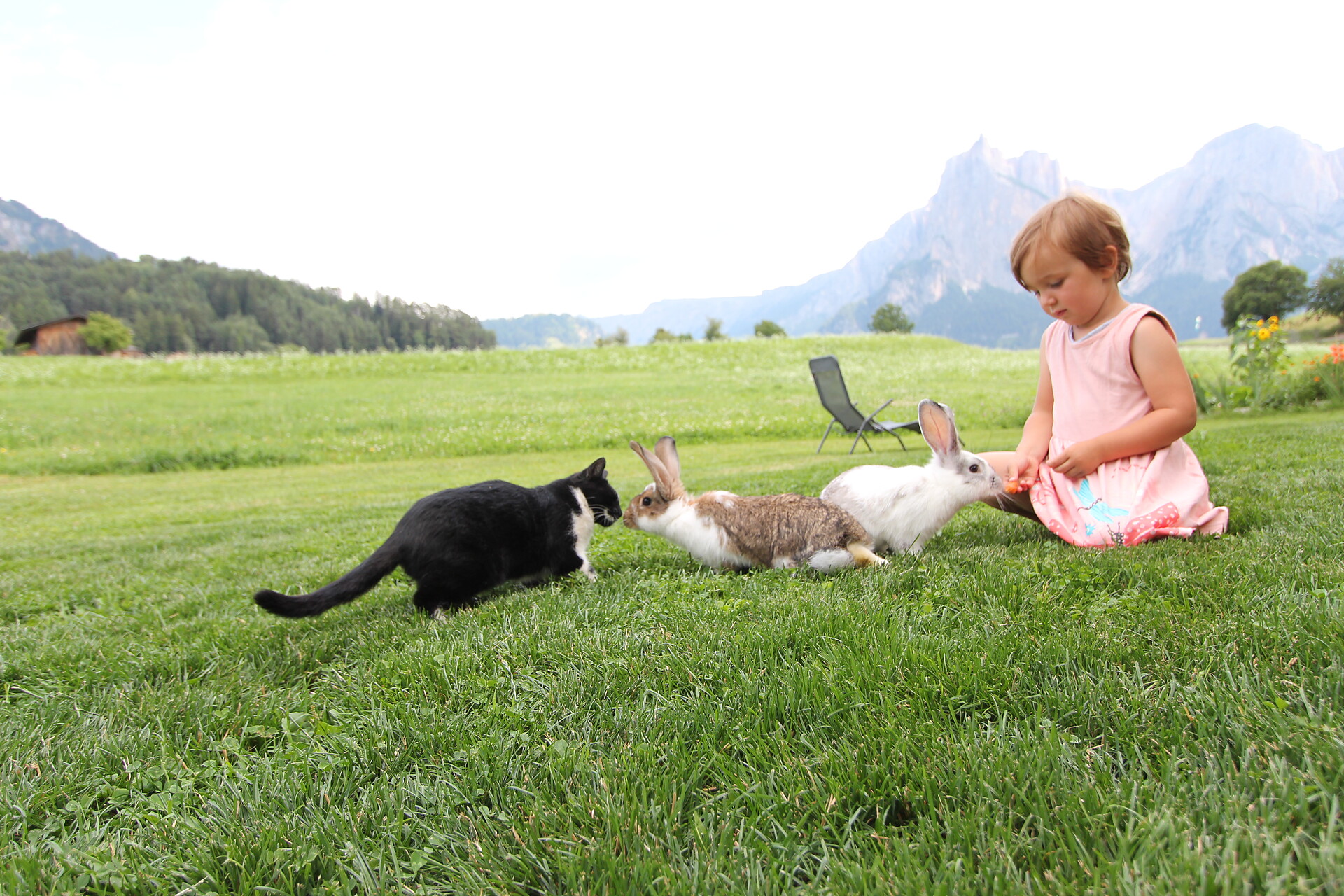 Schererhof - Dolomitenregion Seiser Alm - #22 - suedtirol.info
