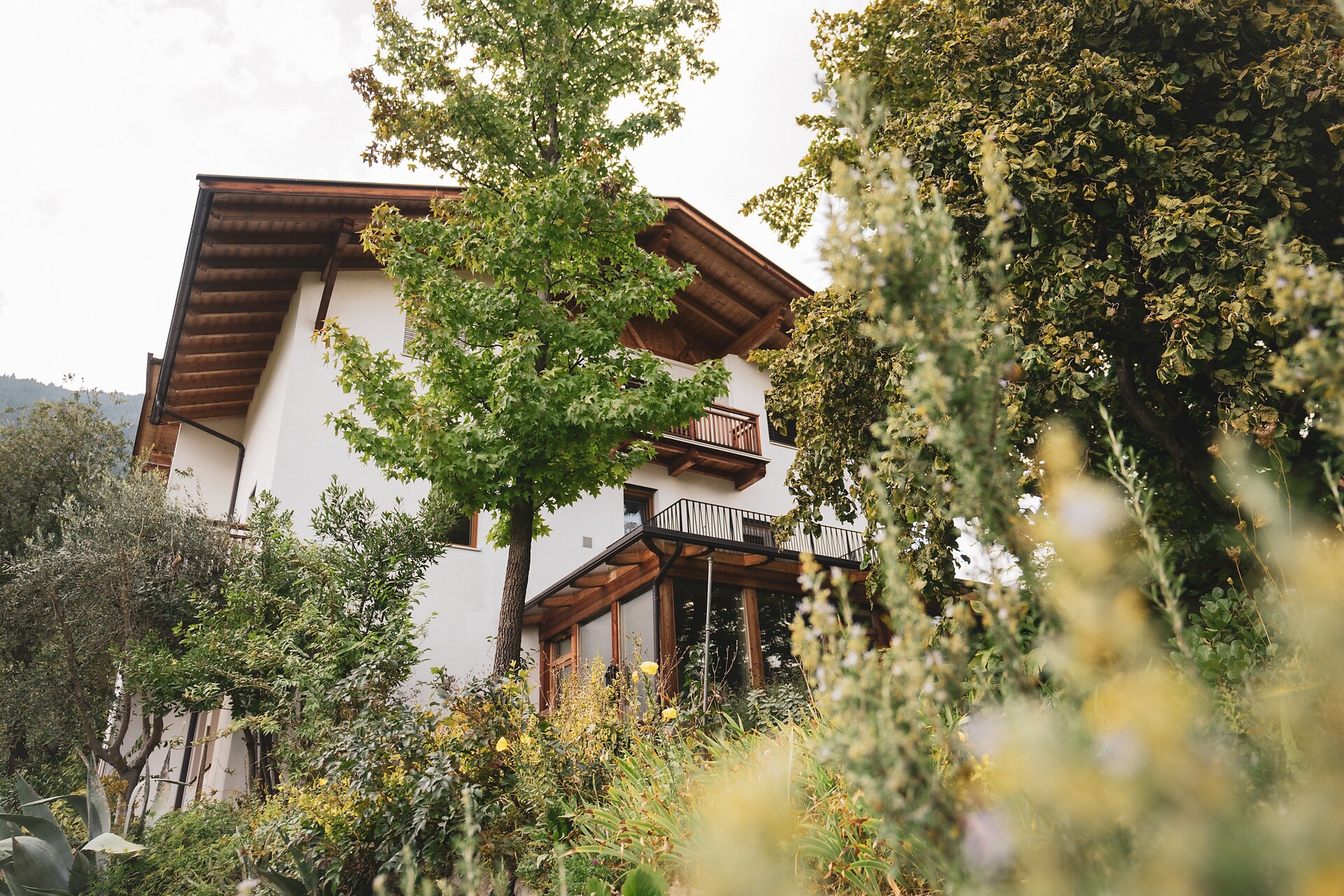 Stein unter Lebenberg