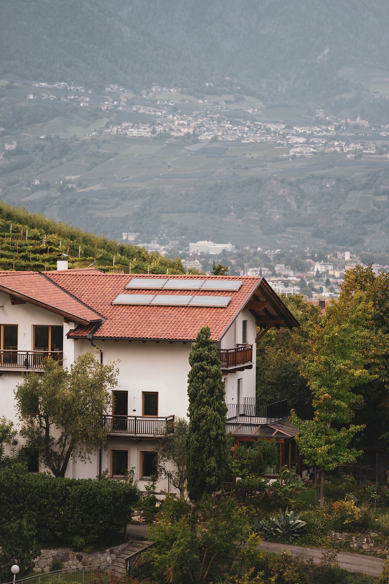 Stein unter Lebenberg