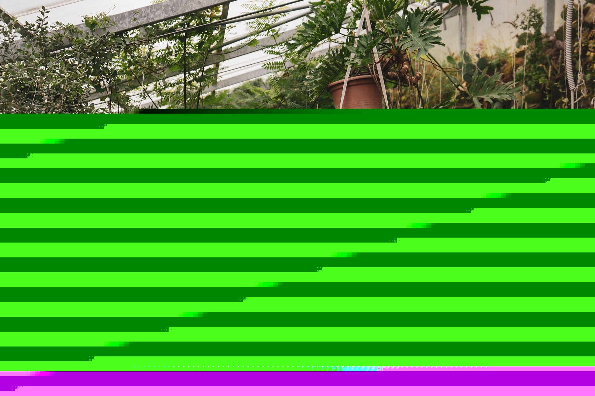 Stein unter Lebenberg