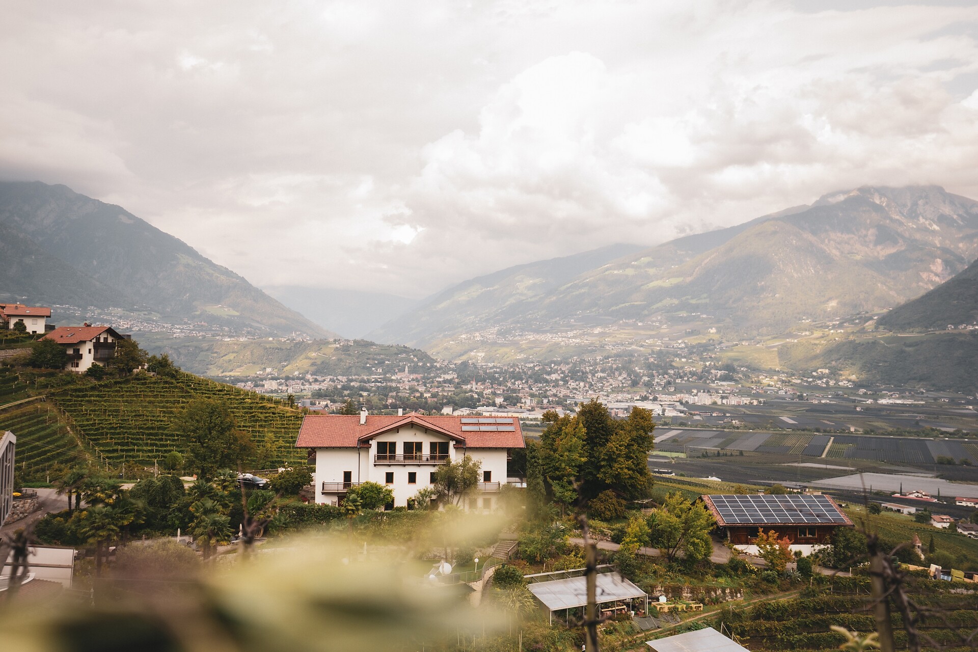 Stein unter Lebenberg