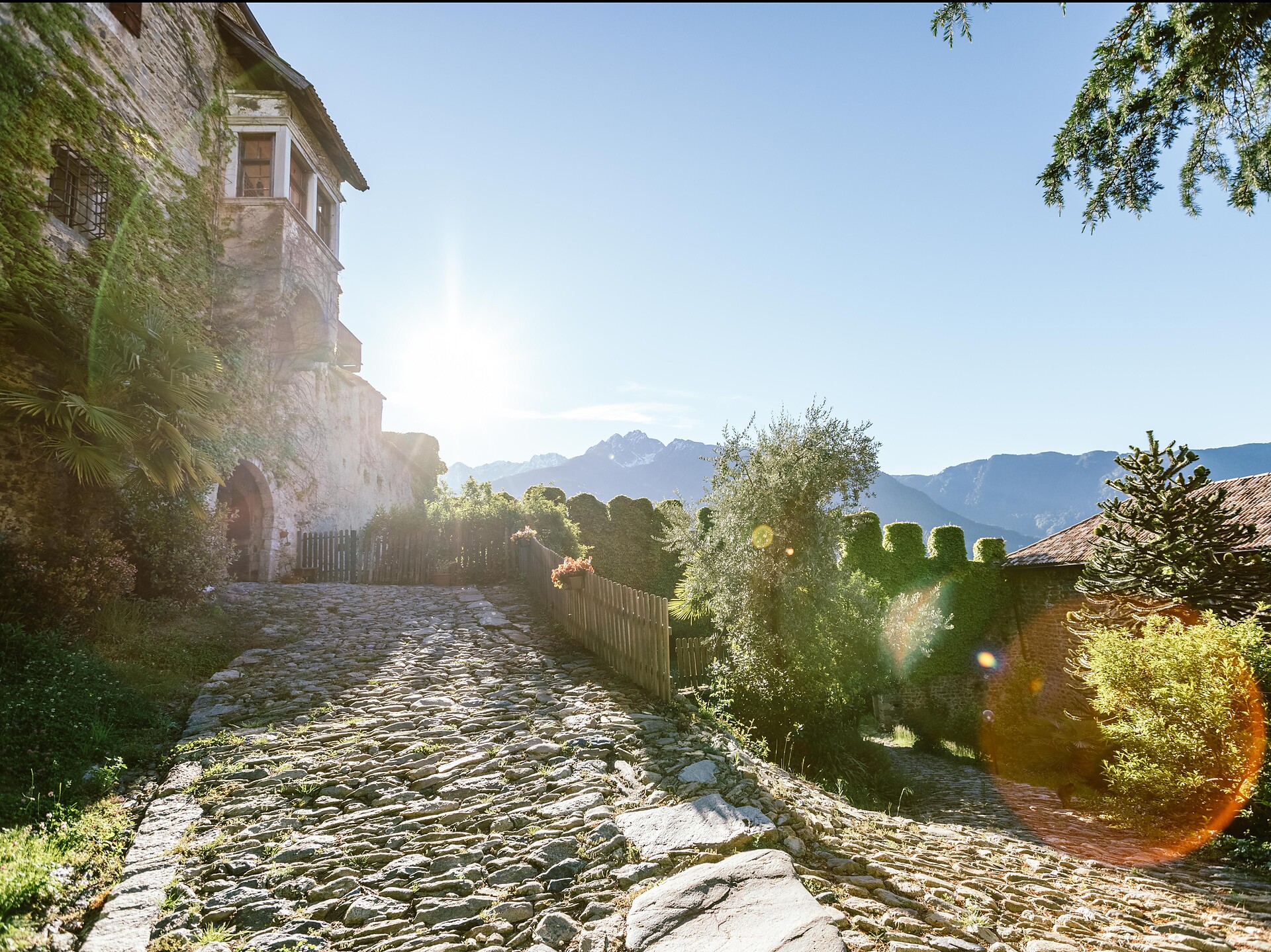 Schloss Auer - Wohnen im Schloss - Meran und Umgebung - #1 - suedtirol.info