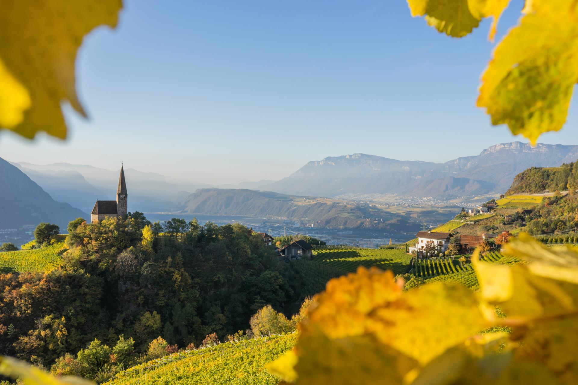 TOLLHOF Bolzano 4 suedtirol.info