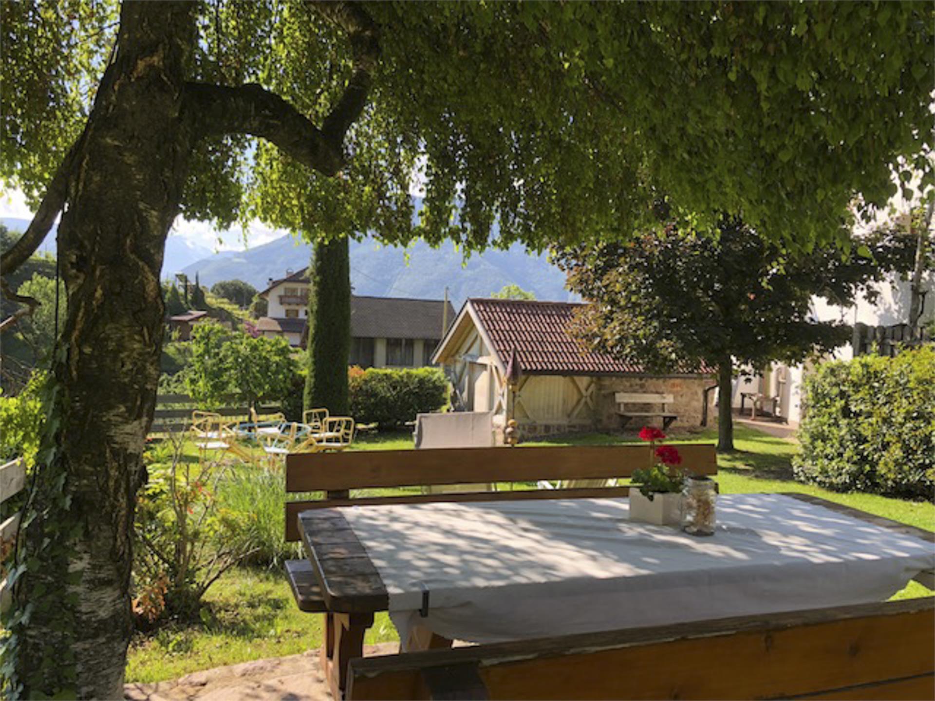 TOLLHOF Bolzano 26 suedtirol.info