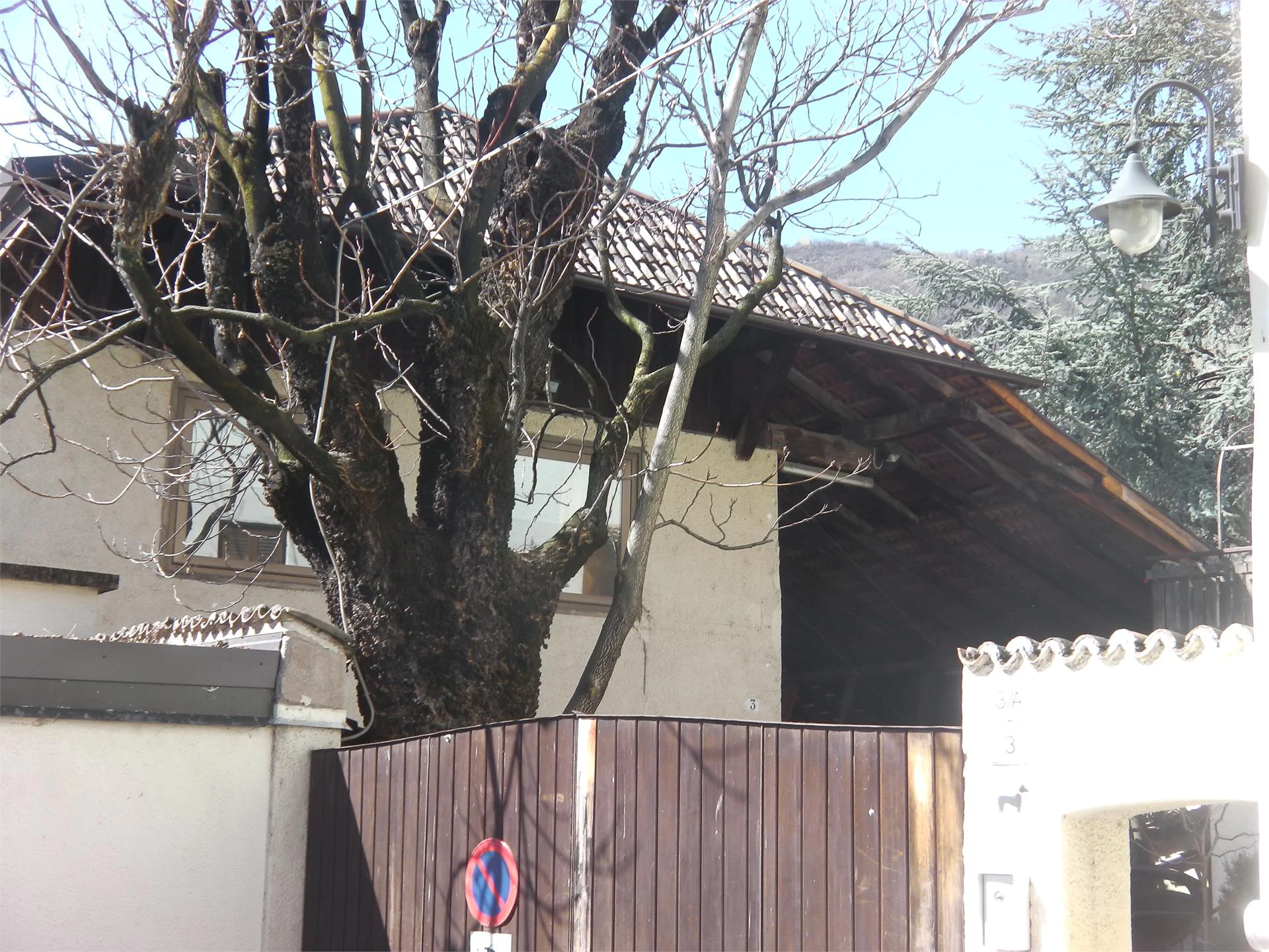 Trafojer Siegrid Bolzano 1 suedtirol.info