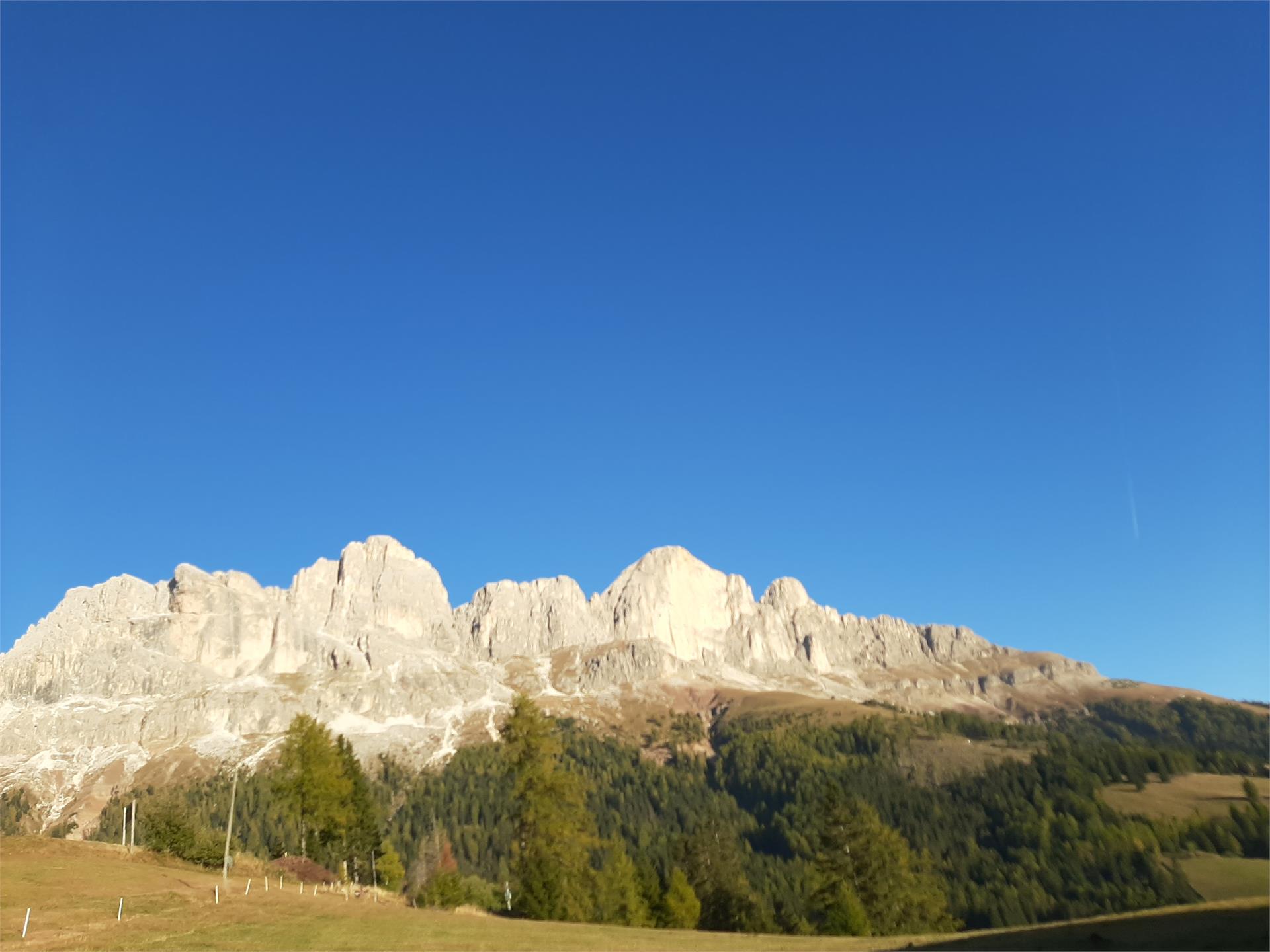 Tschandl-Hof Welschnofen/Nova Levante 5 suedtirol.info