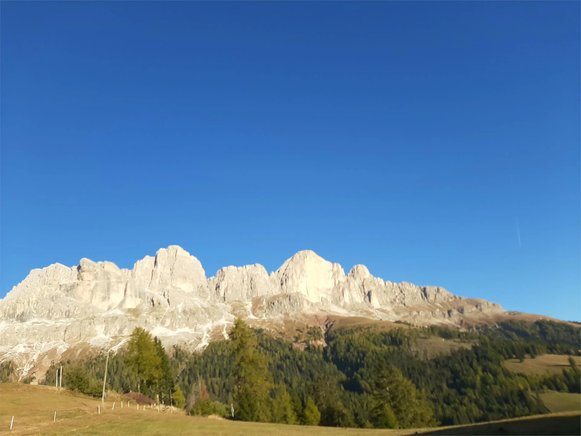 Maso Tschandl Nova Levante 5 suedtirol.info