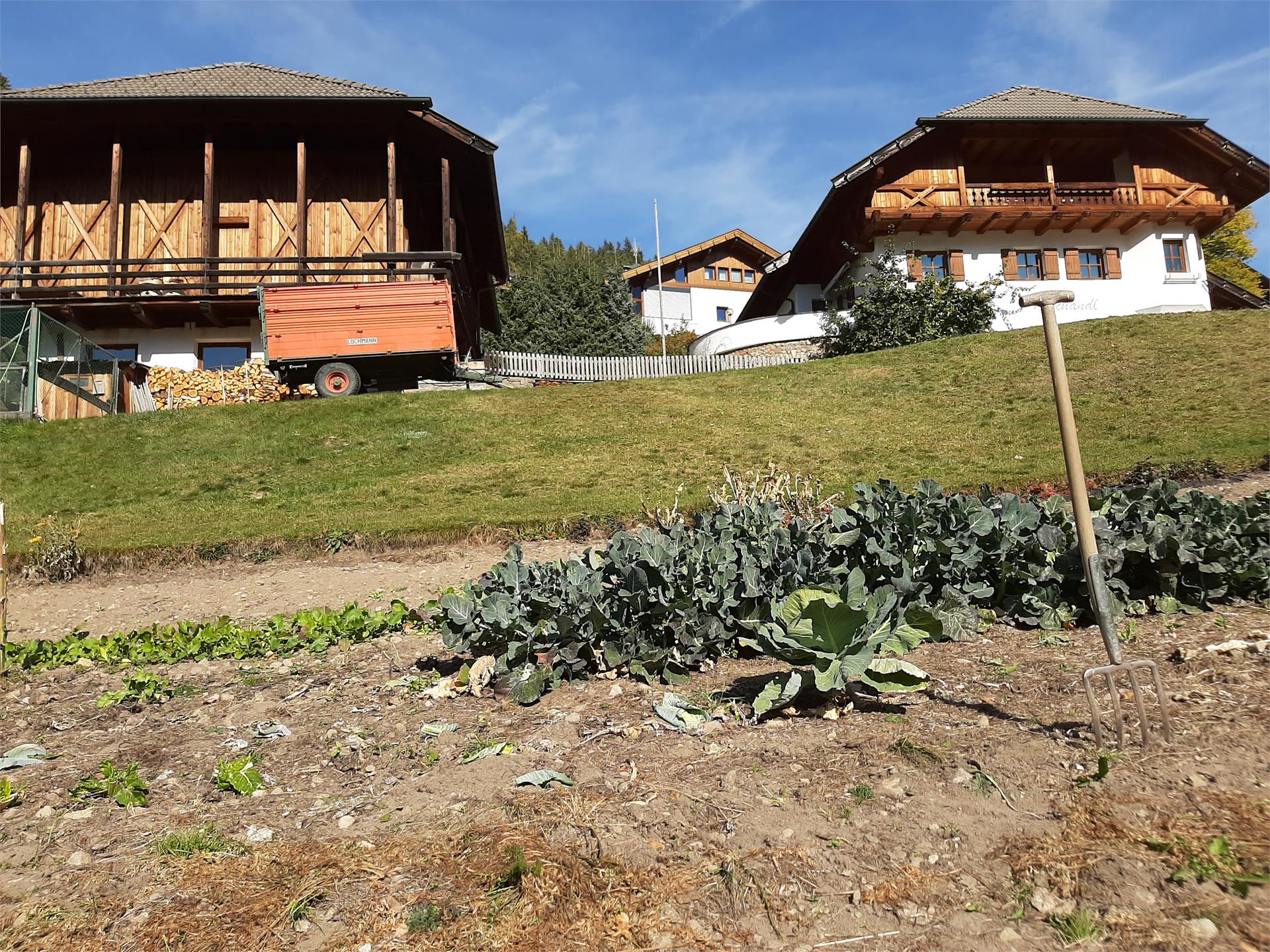 Tschandl-Hof Welschnofen/Nova Levante 3 suedtirol.info