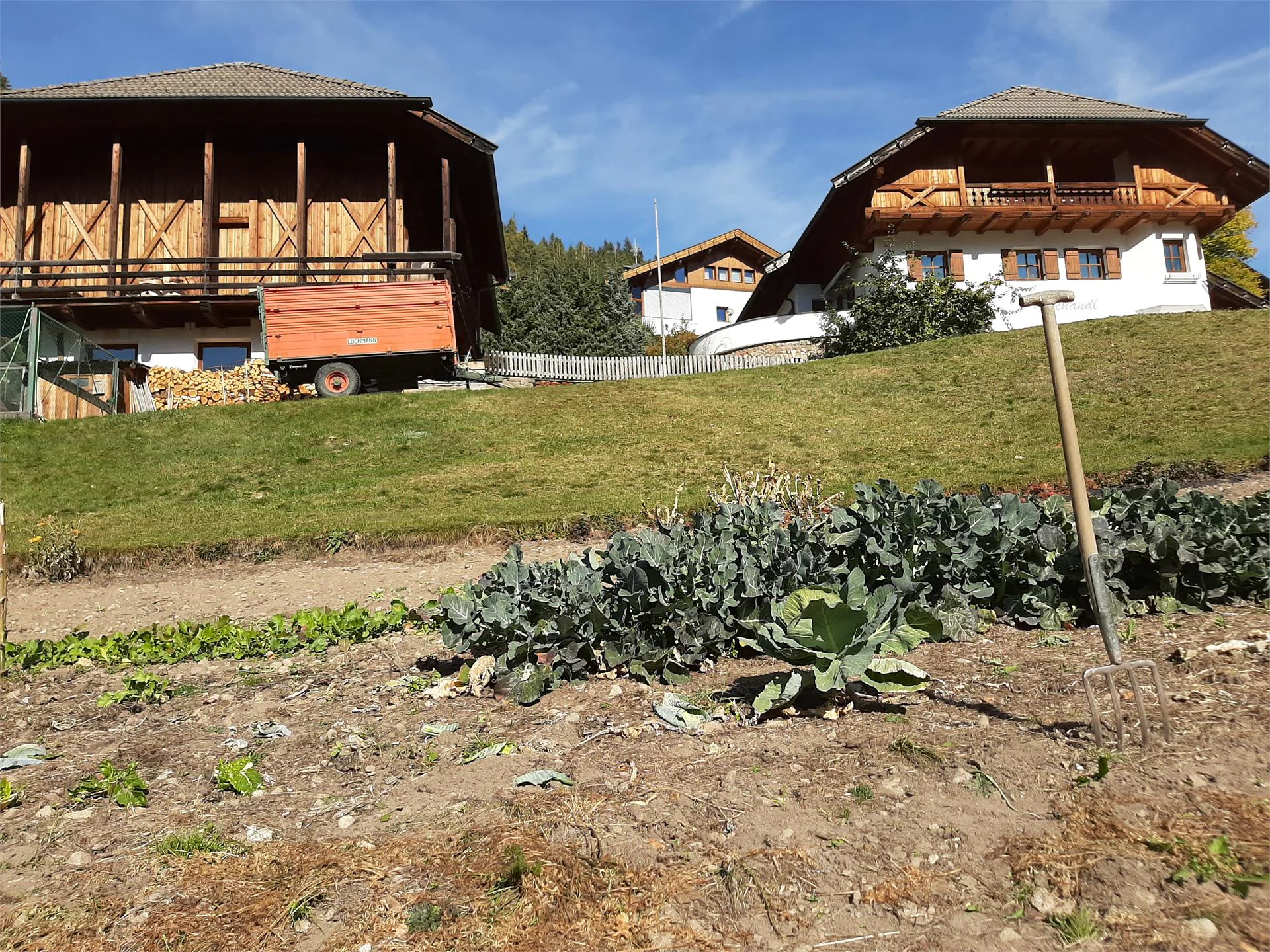Maso Tschandl Nova Levante 3 suedtirol.info
