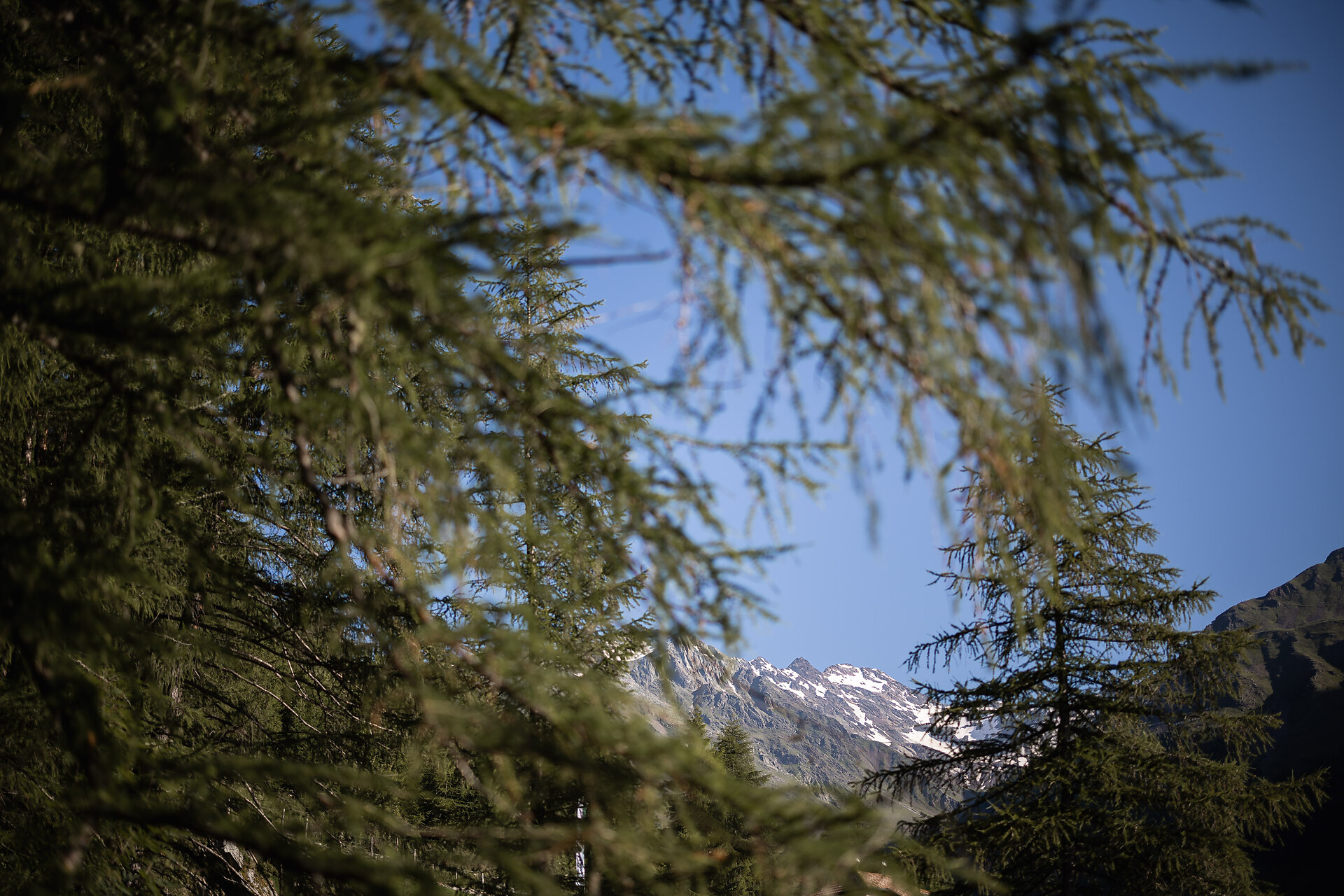 Natur