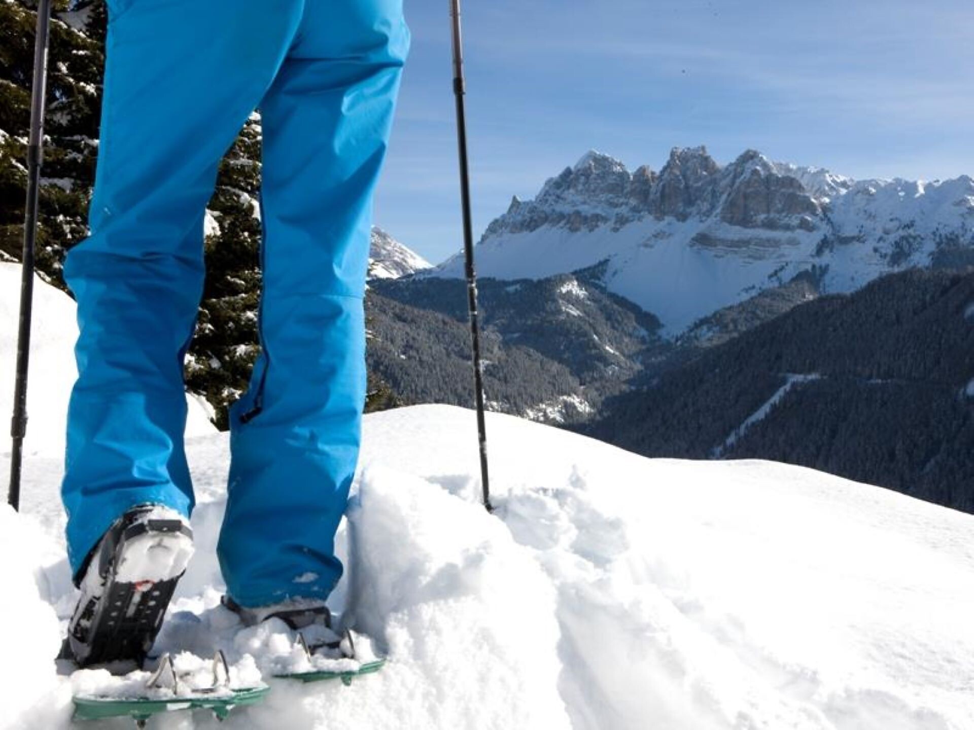 Snowshoes