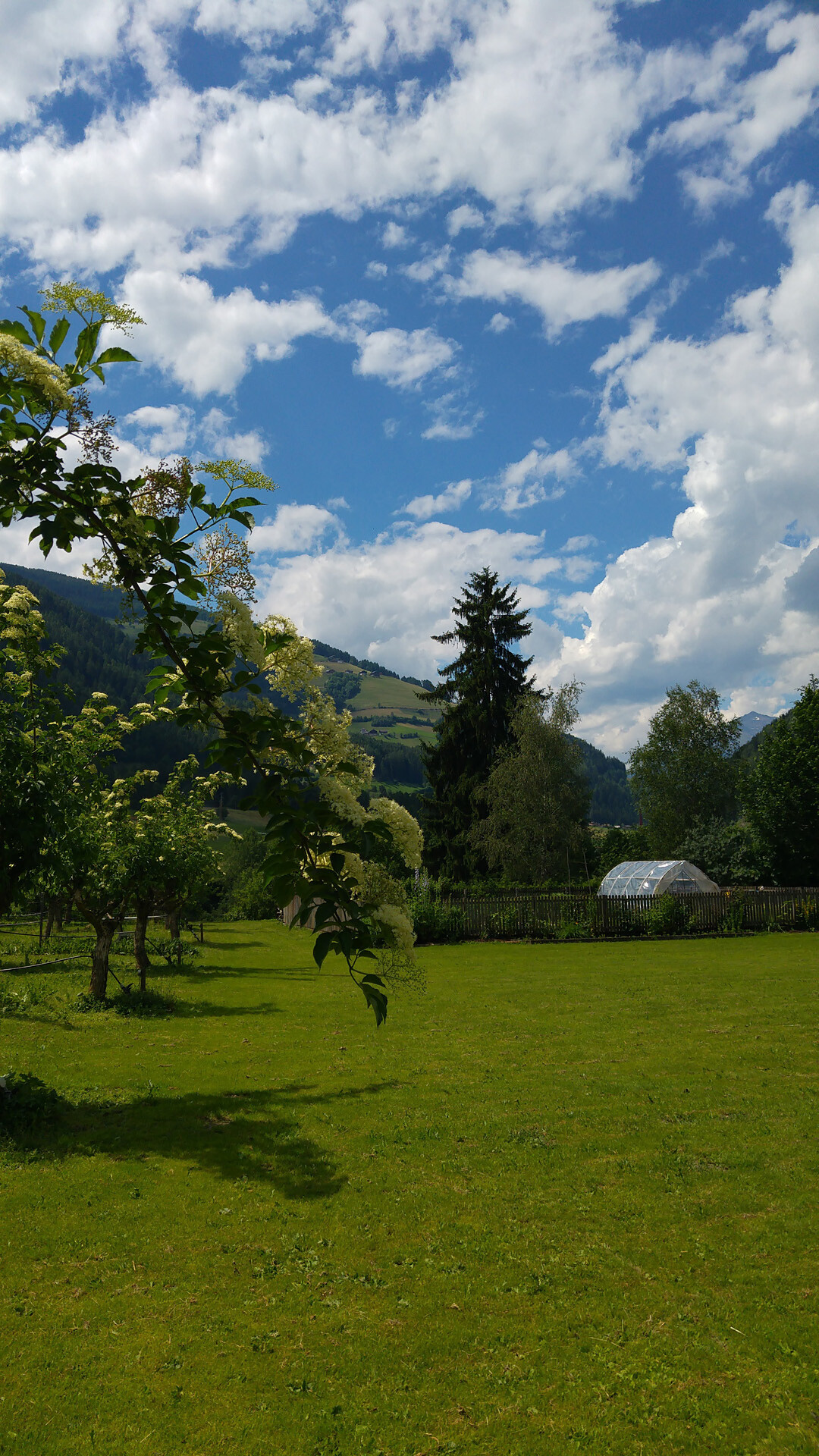 Tanglerhof