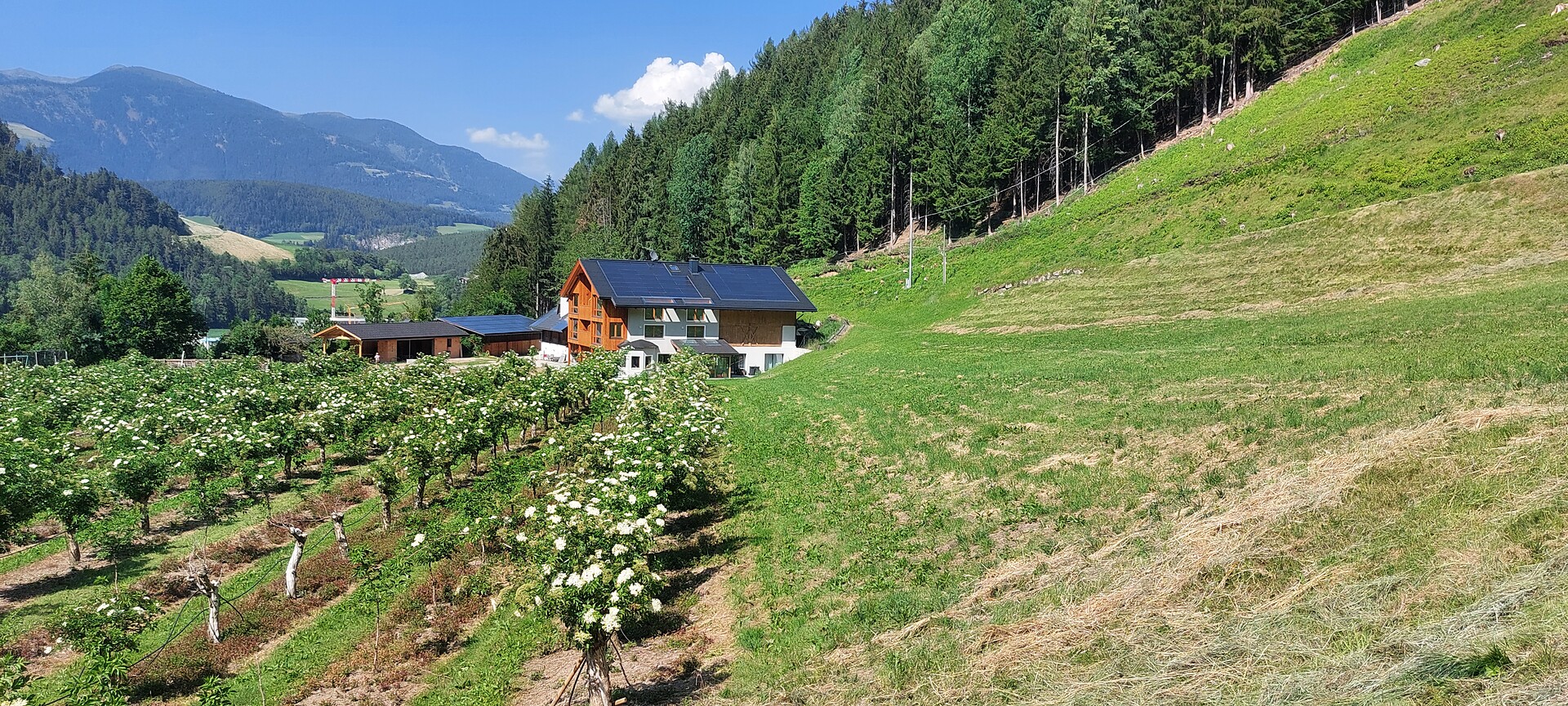 Tanglerhof