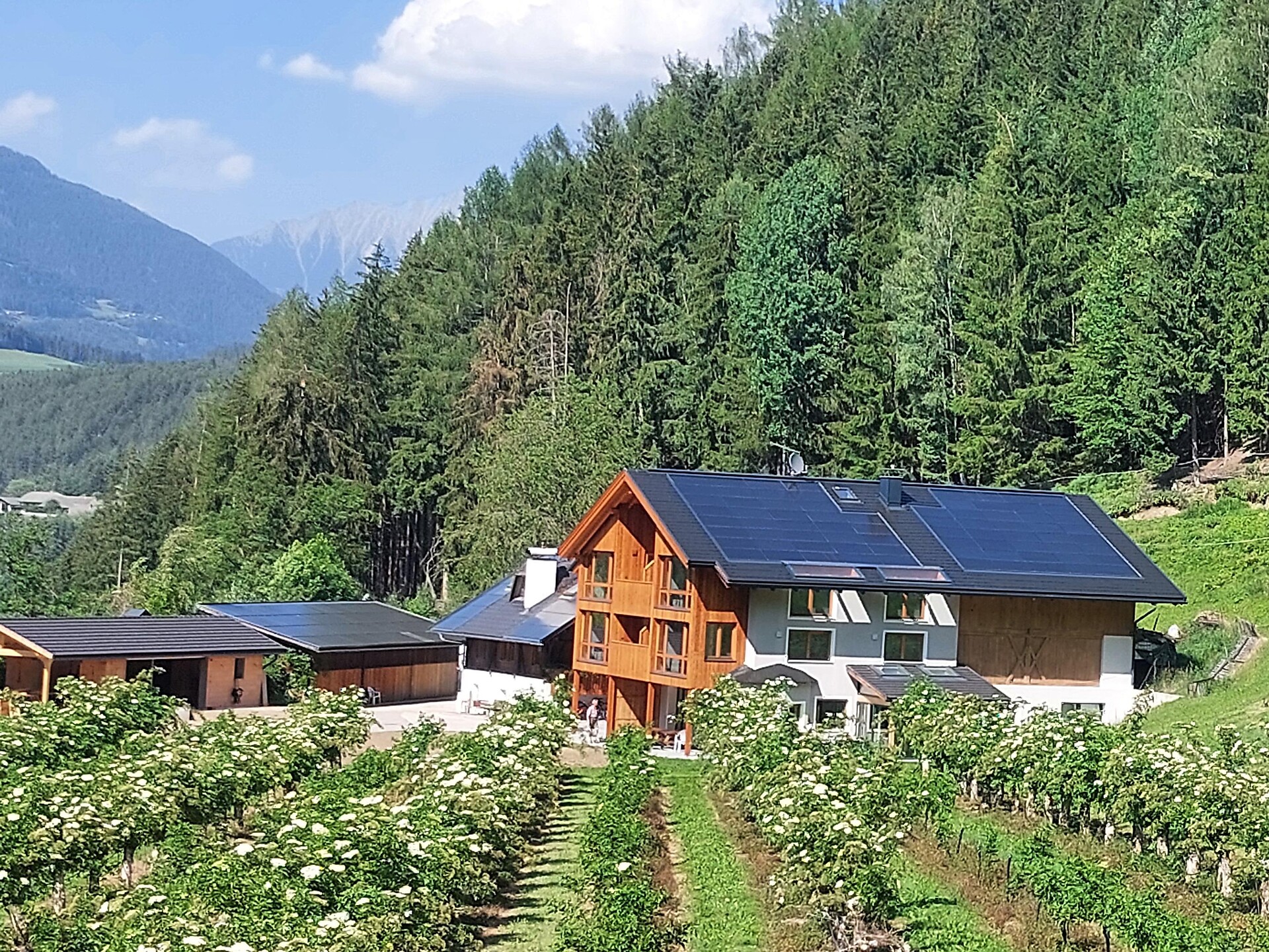 Tanglerhof - Regione dolomitica Plan de Corones - #1 - suedtirol.info