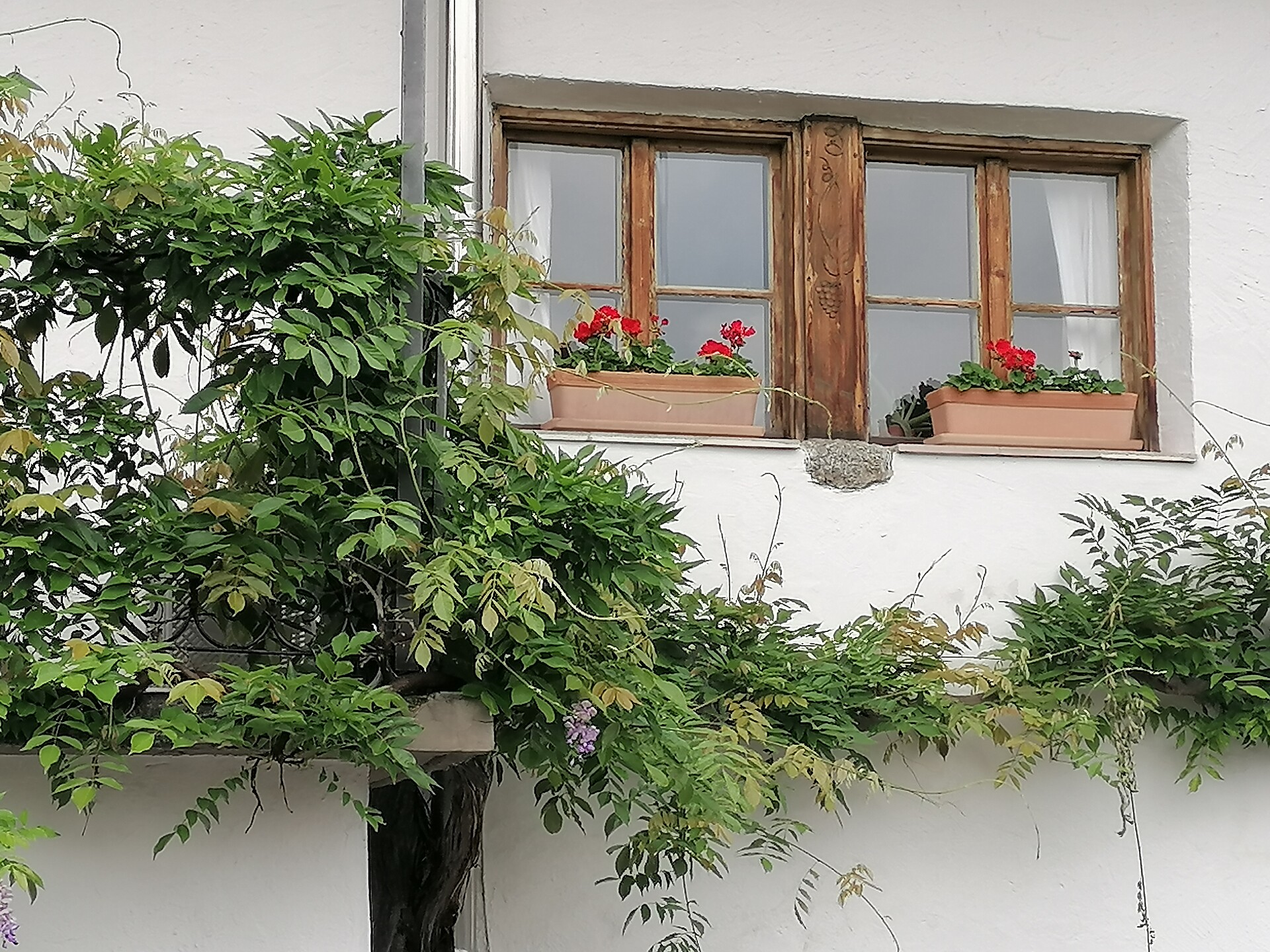 Töllerhof