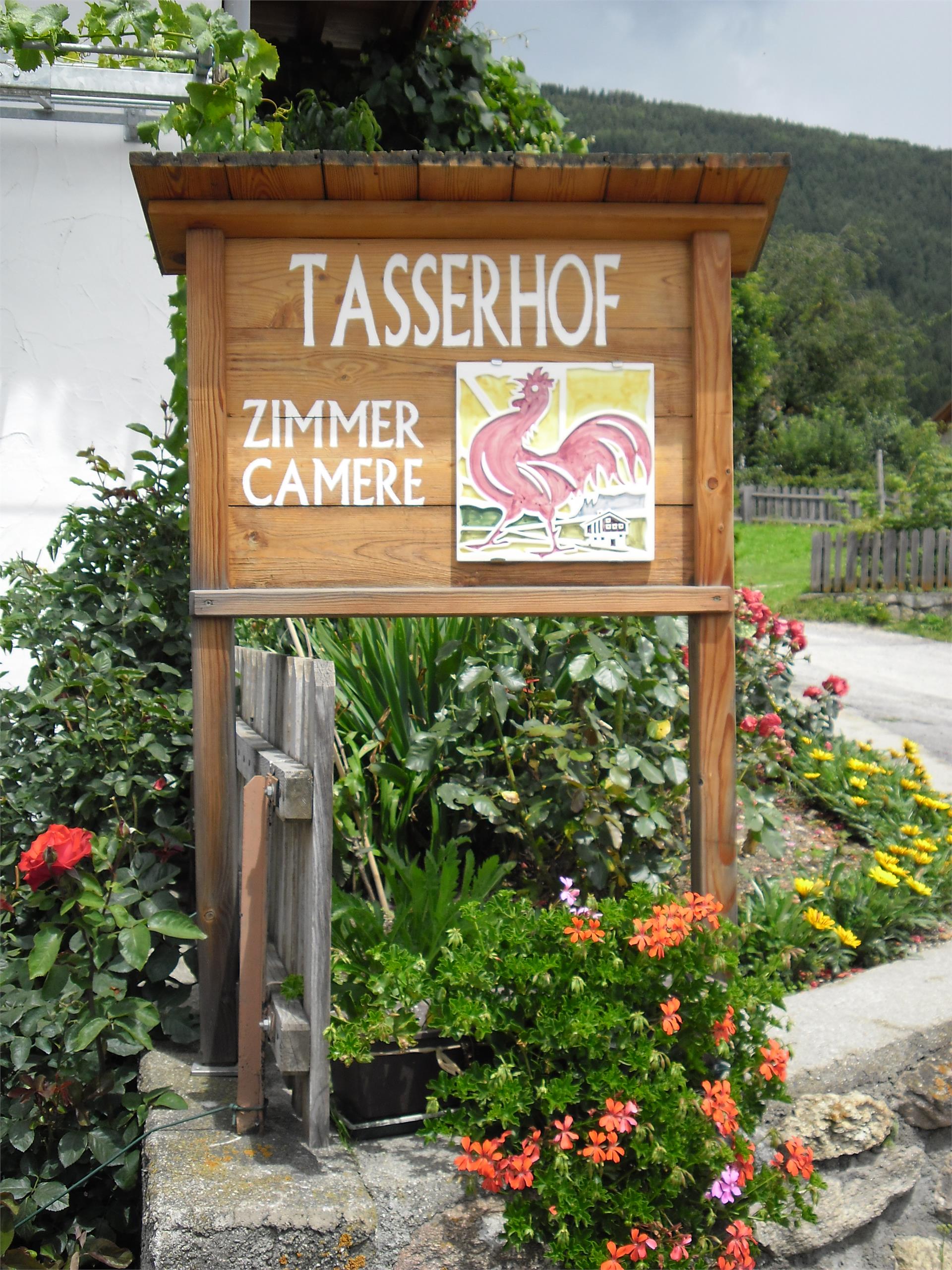 Tasserhof Pfalzen/Falzes 5 suedtirol.info