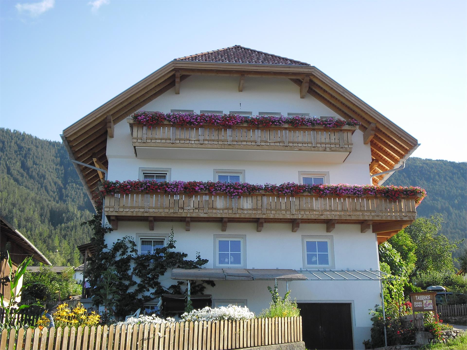 Tasserhof Pfalzen/Falzes 7 suedtirol.info