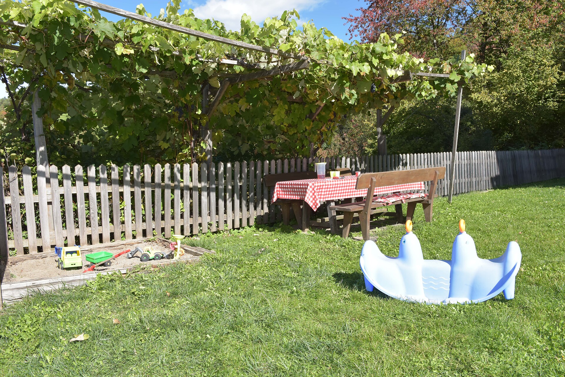 Giardino