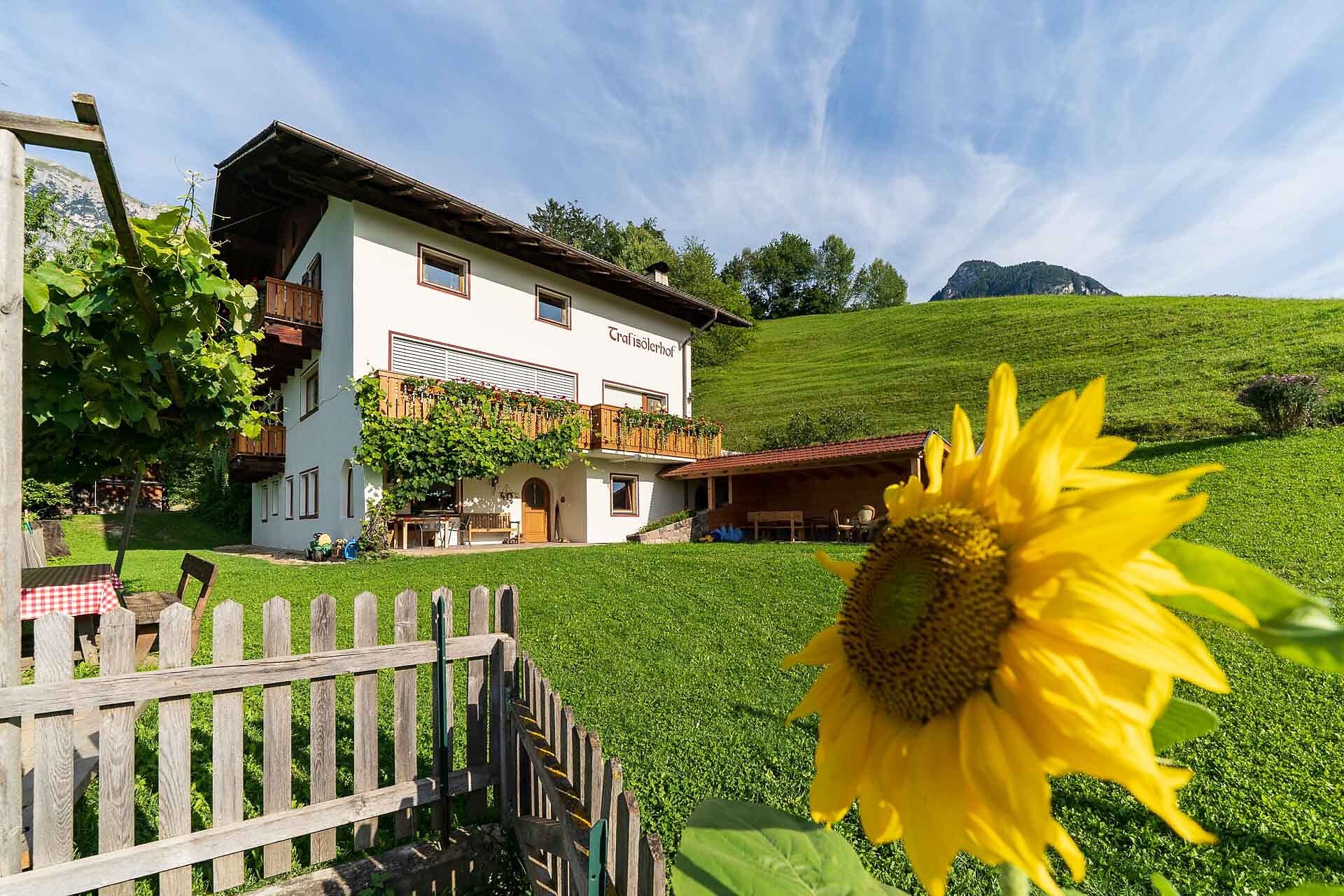 Trafisölerhof