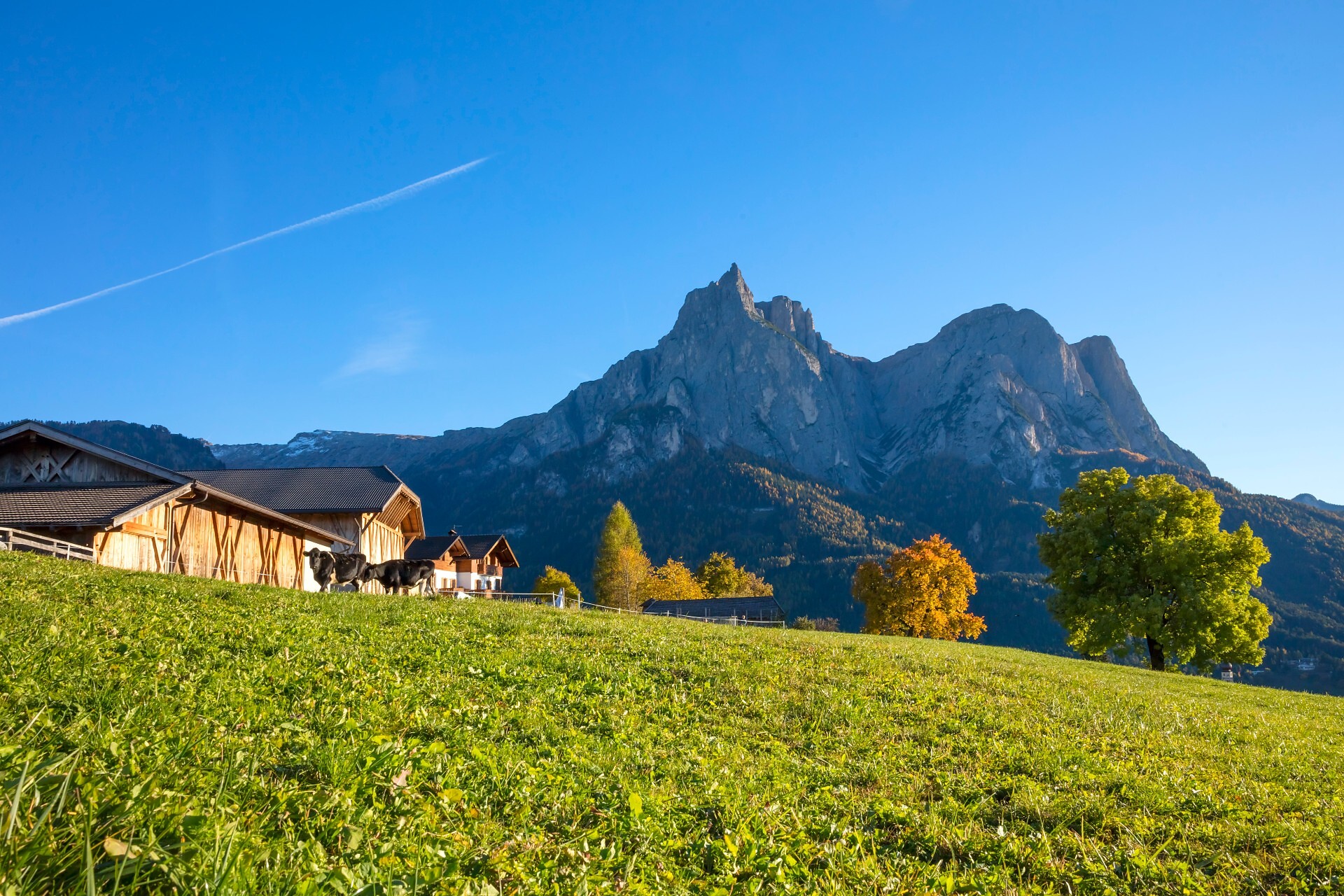App. A Treffhof