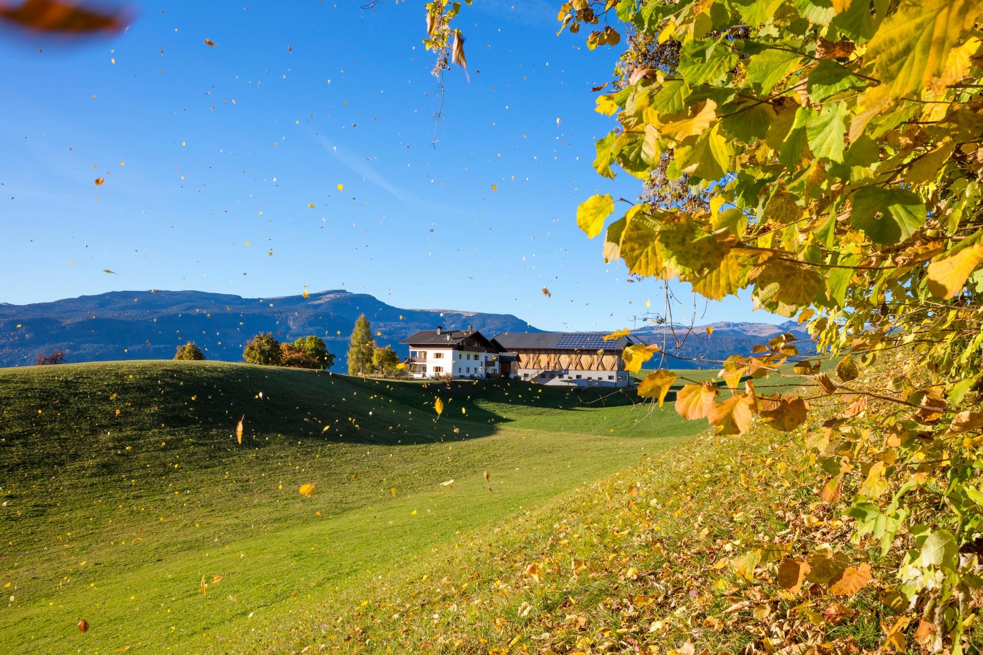 Treffhof Kastelruth 9 suedtirol.info