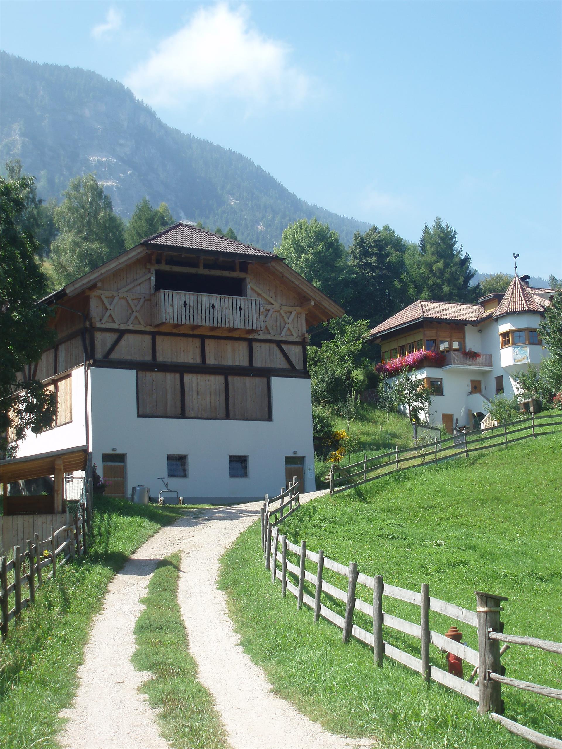 Tinnerhof - Gaiser Robert Eppan an der Weinstraße 3 suedtirol.info