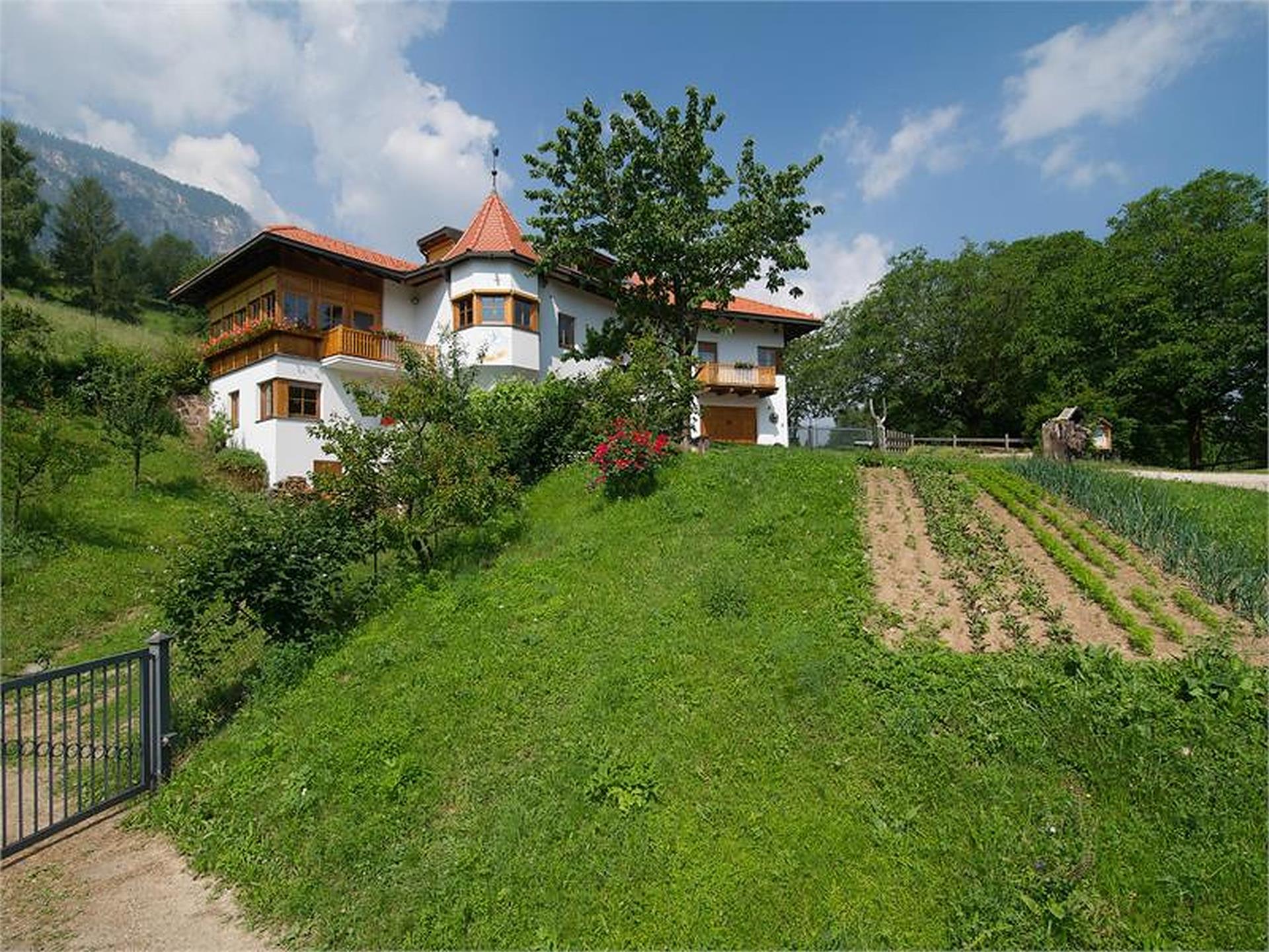 Tinnerhof - Gaiser Robert Eppan an der Weinstraße 1 suedtirol.info